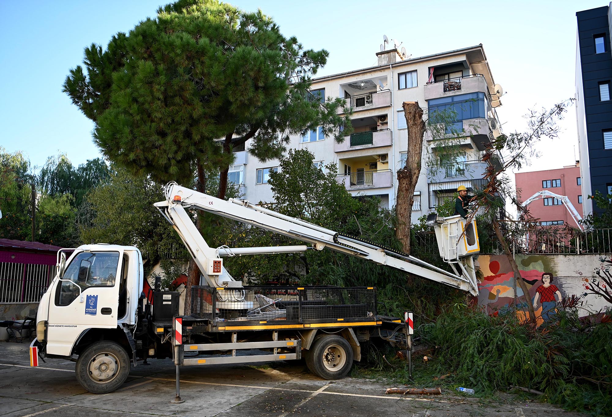 Kusadasinda Agac Atiklari Ihtiyac Sahipleri Icin Yakacaga Donusuyor 527867 8C880913E06D1B67343Ba025Ff5Abfcf