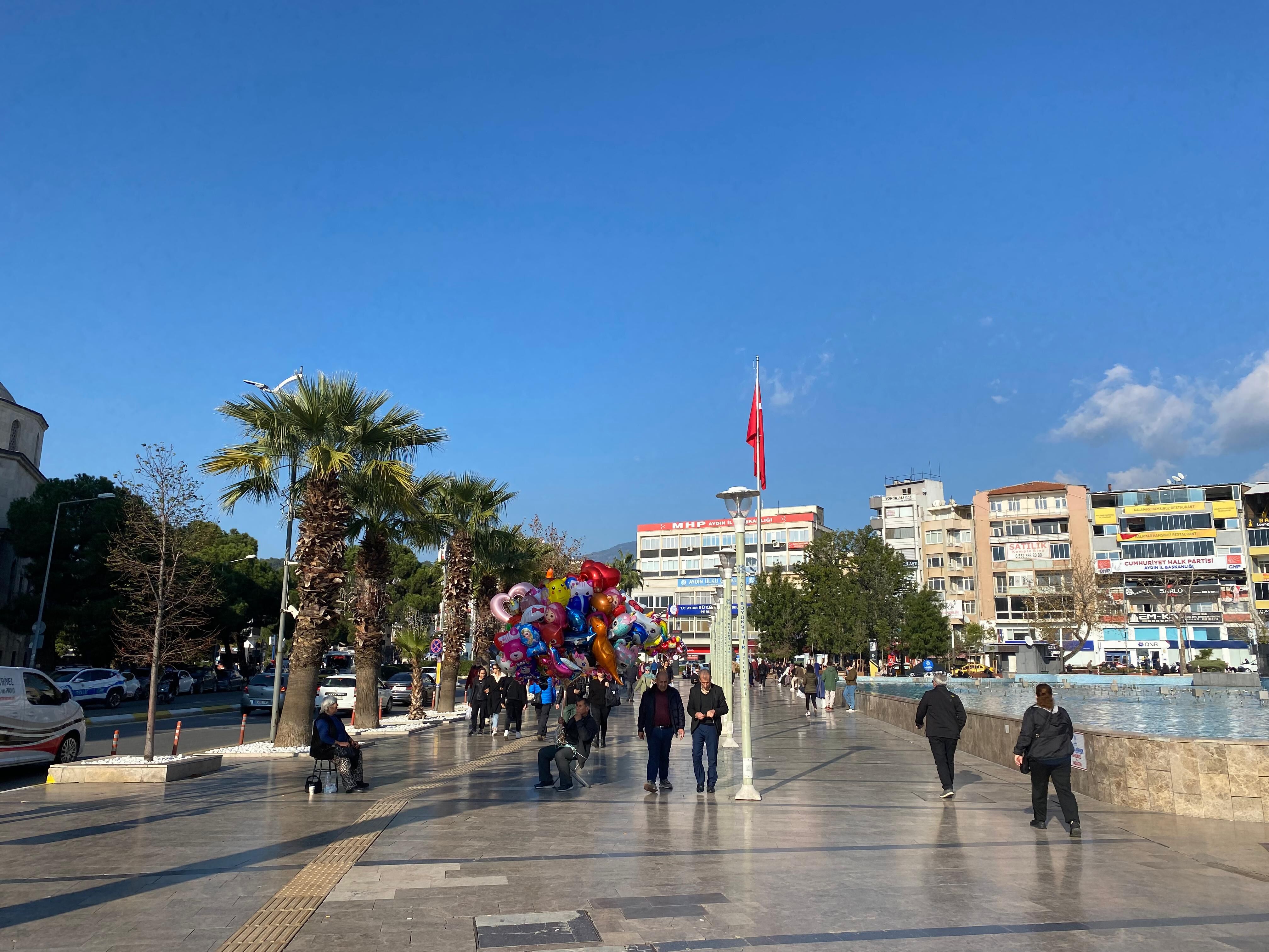 Aydın’da aralık ayında bahar esintileri: Güneşli havayı gören kendini dışarı attı