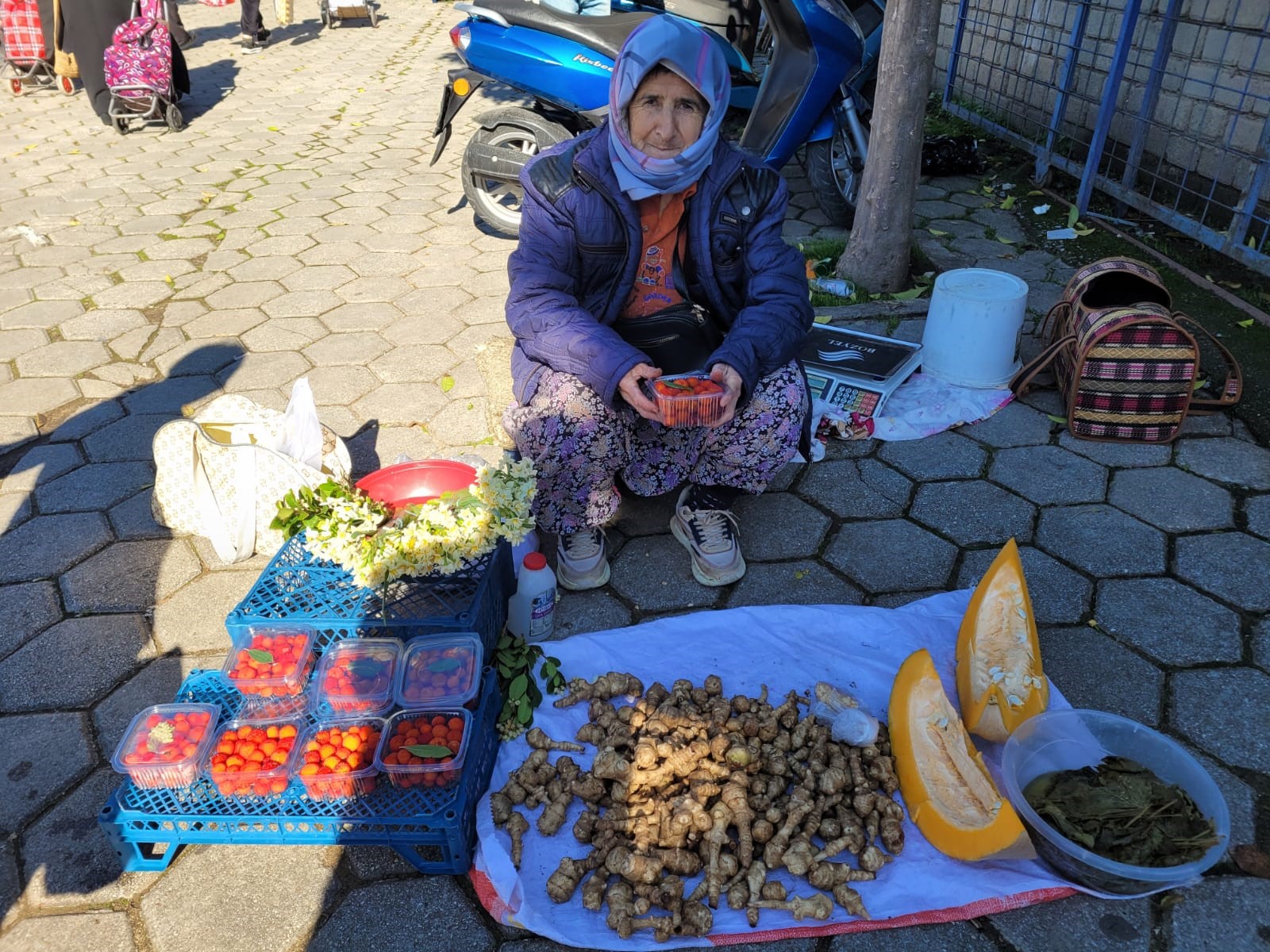 Aydın'ın dağlarında geçim kaynağı! Zahmetine katlanıp toplayan para kazanıyor