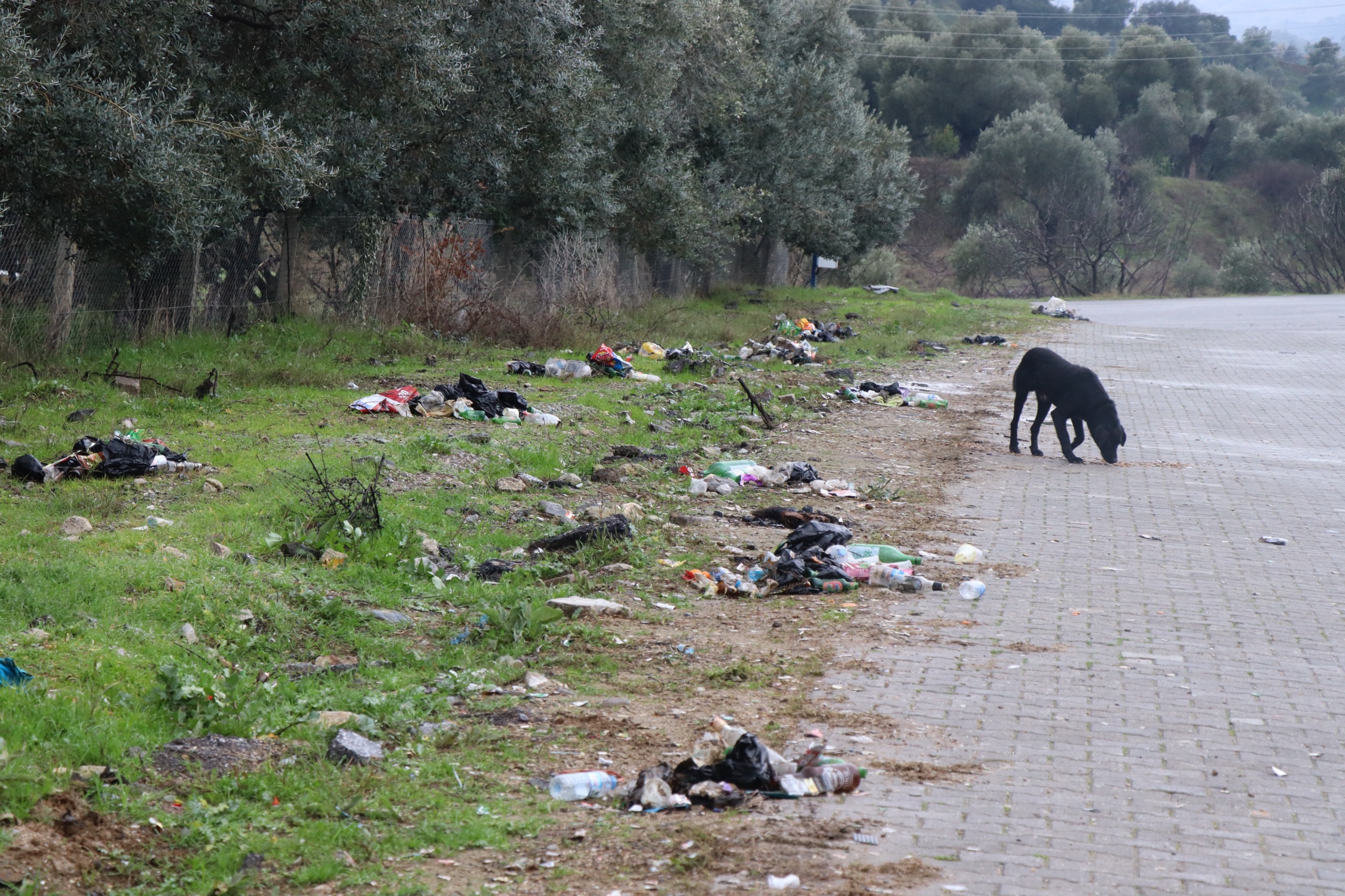 Nazillide Temizlik Seferberligi Bozkurt Mahallesi Temizlendi 535831 6De72526C54Da1261Cf14B4F3B489622