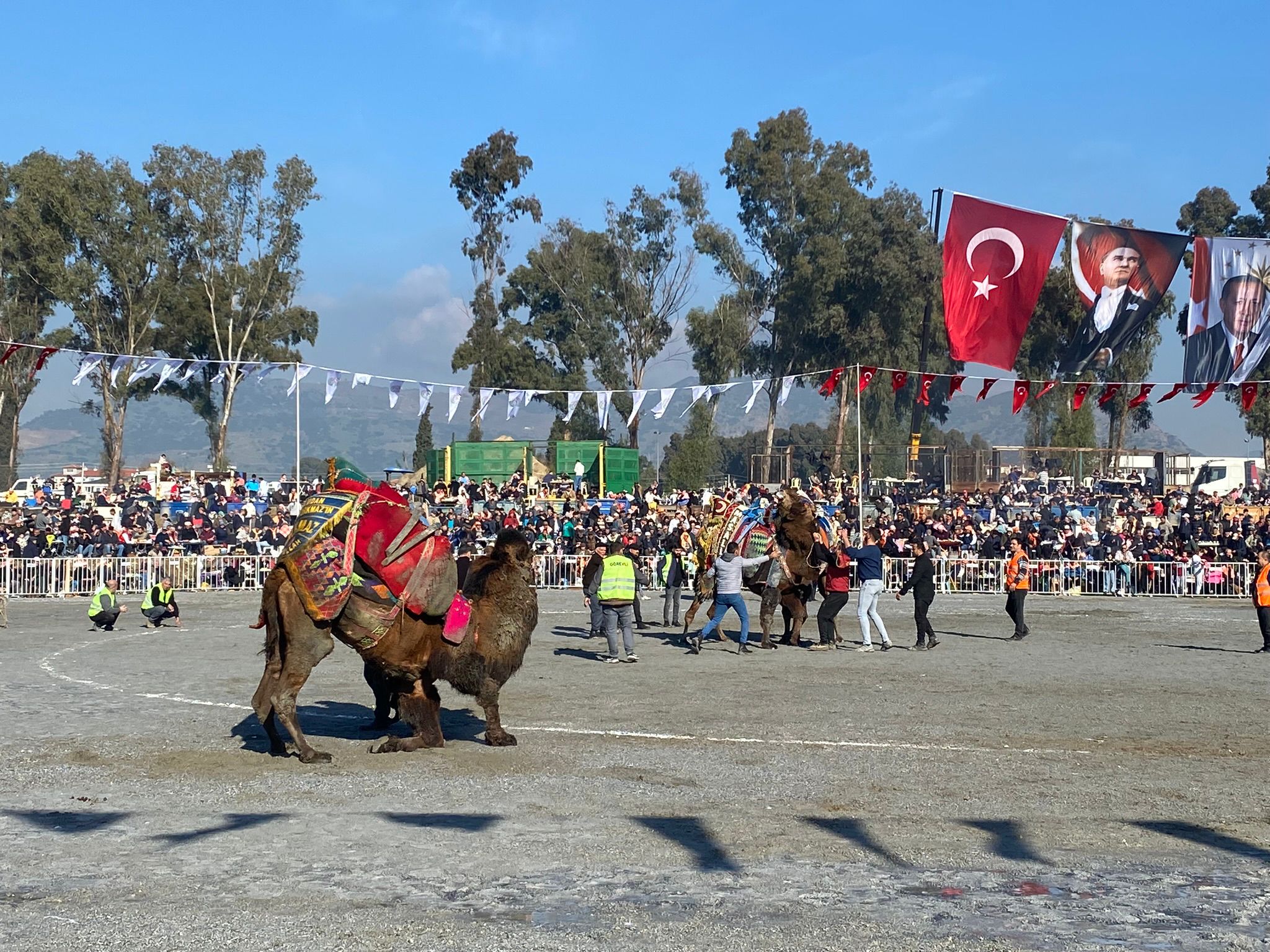 Kızıyla beraber deve güreşlerini hiç kaçırmıyor: "Çok eğlenceli bir festival"