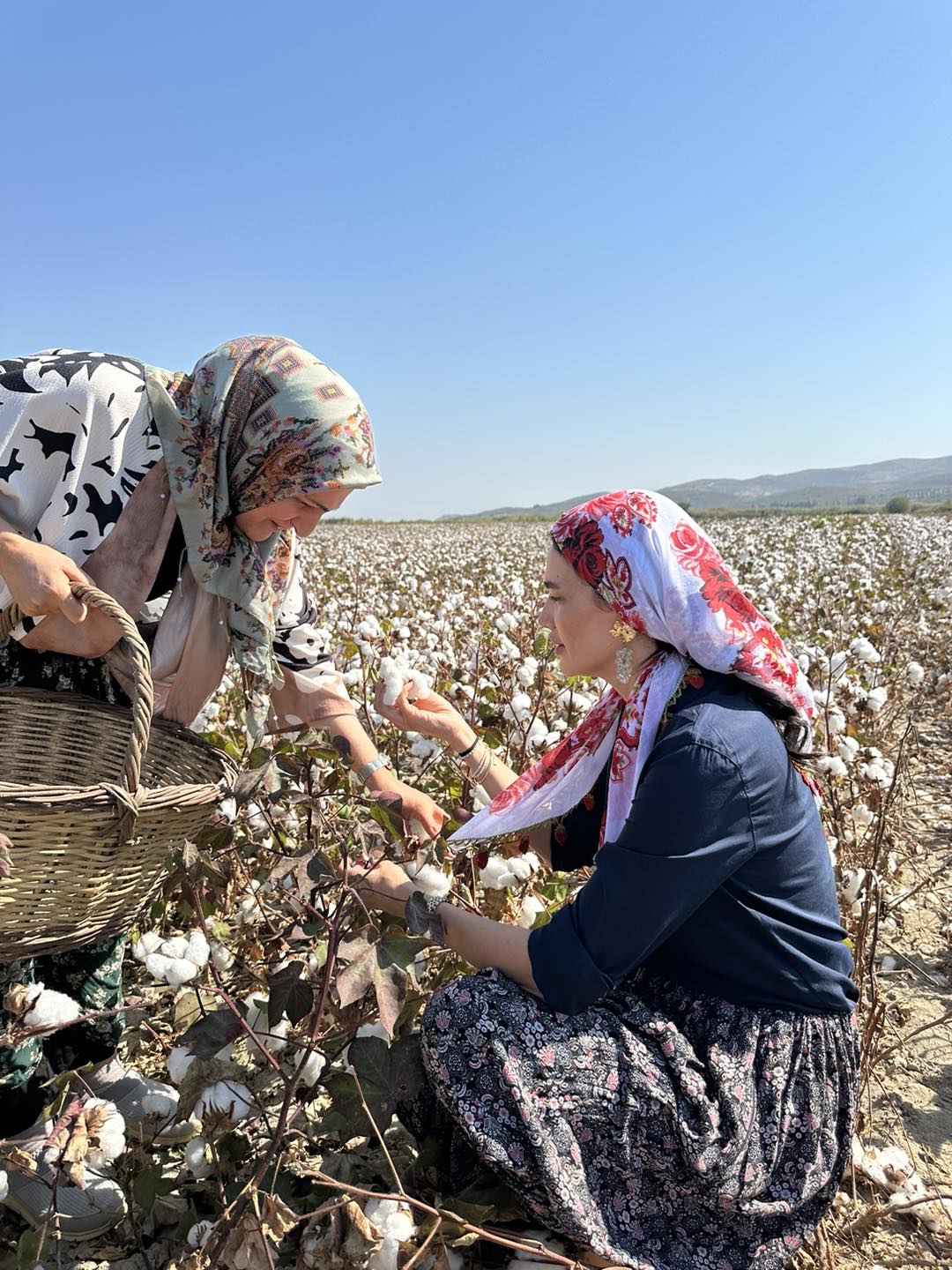 AK Parti’li Sarıbaş Aydın’ın kadın vekil hasretine son verdi