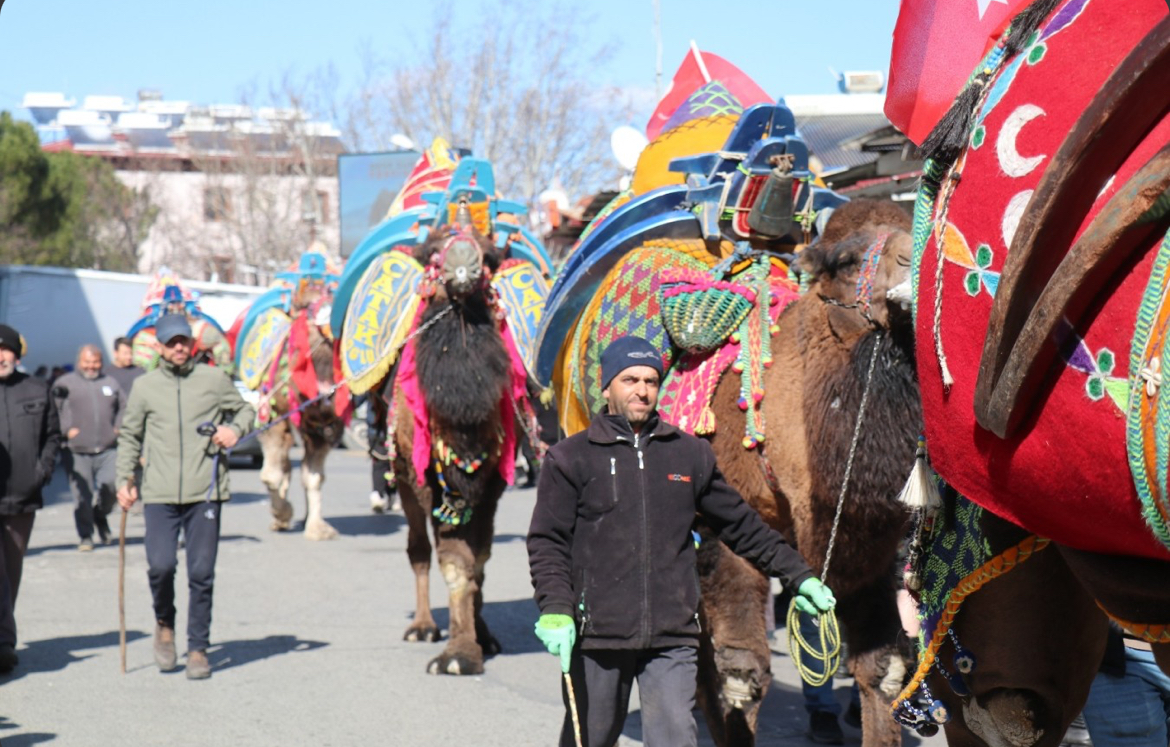 Bozdoganda Deve Guresi Festivali Oncesinde Kortej Yuruyusu Yapildi 546572 2B77Dc5123F14A5038618D96E09983F6