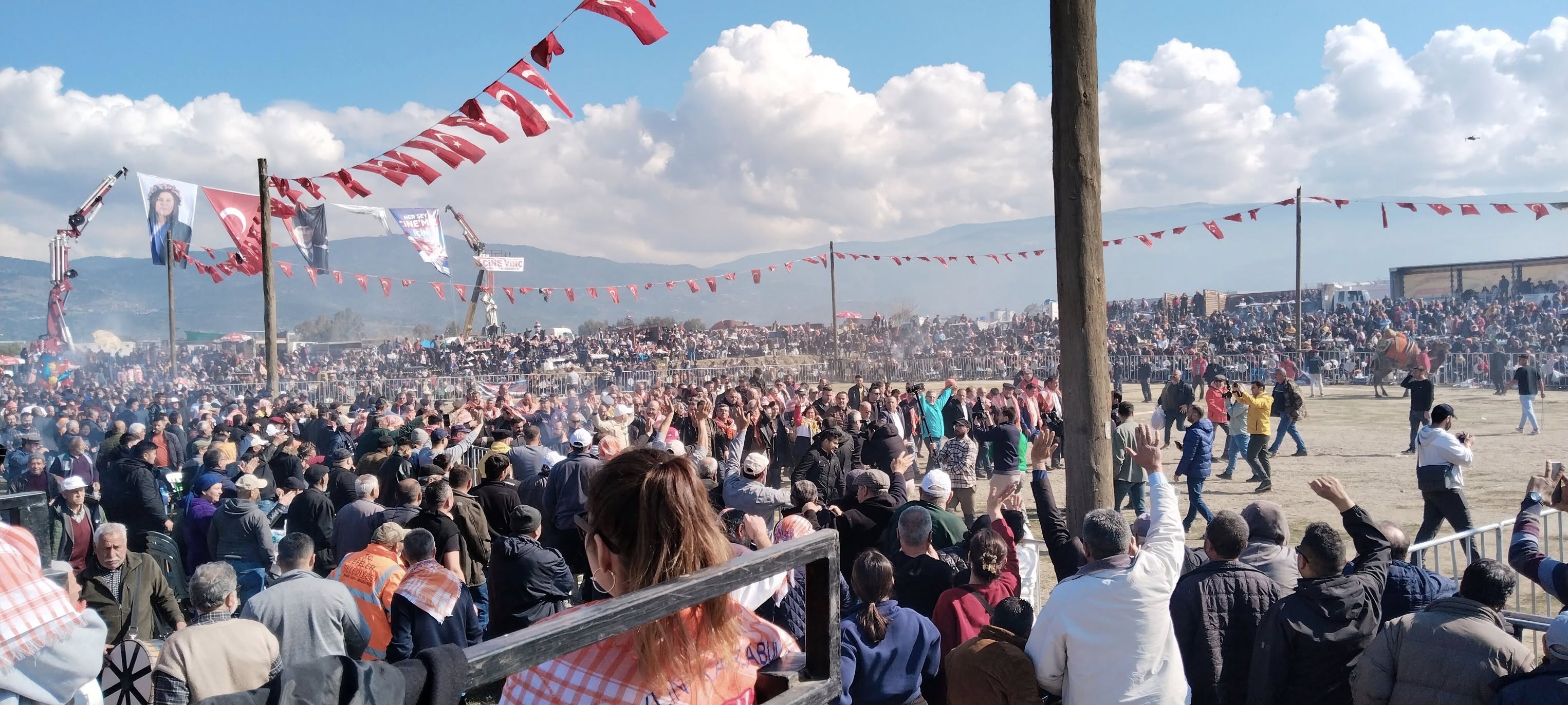 Çine'de deve güreşi heyecanı yeniden canlandı