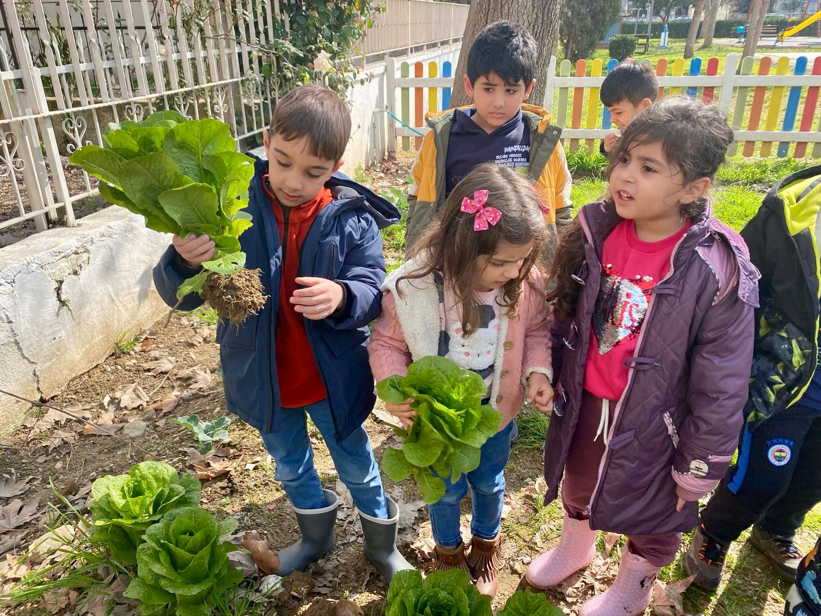 Efelerde Topraga Minik Eller Degdi Cocuklar Kendi Yetistirdikleri Urunleri Hasat Etti 546246 Cdc48D91C1A2690F1Bd54142Cc1D233B