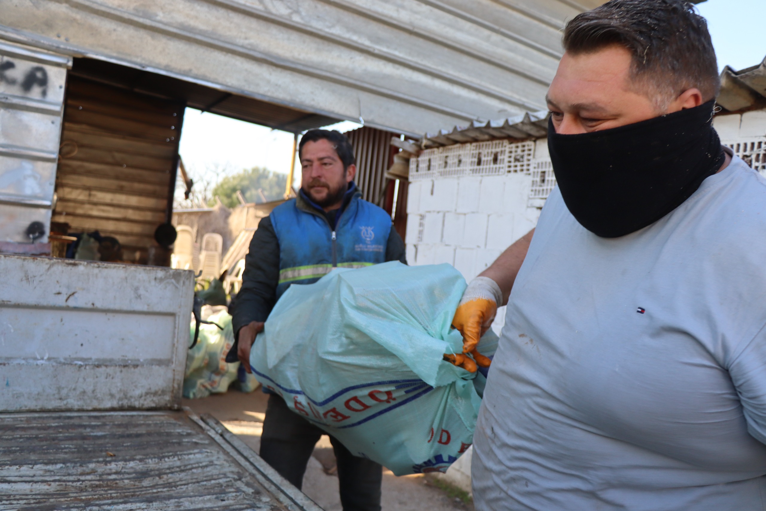 Nazilli'de ihtiyaç sahiplerine yakacak odun dağıtılıyor