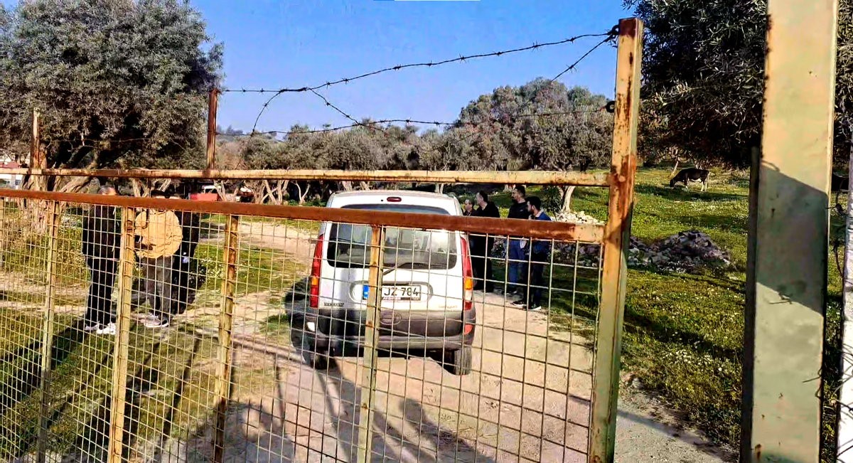 Aydın'daki zeytin bahçesinde şok ölüm! Komşuları acıya boğuldu