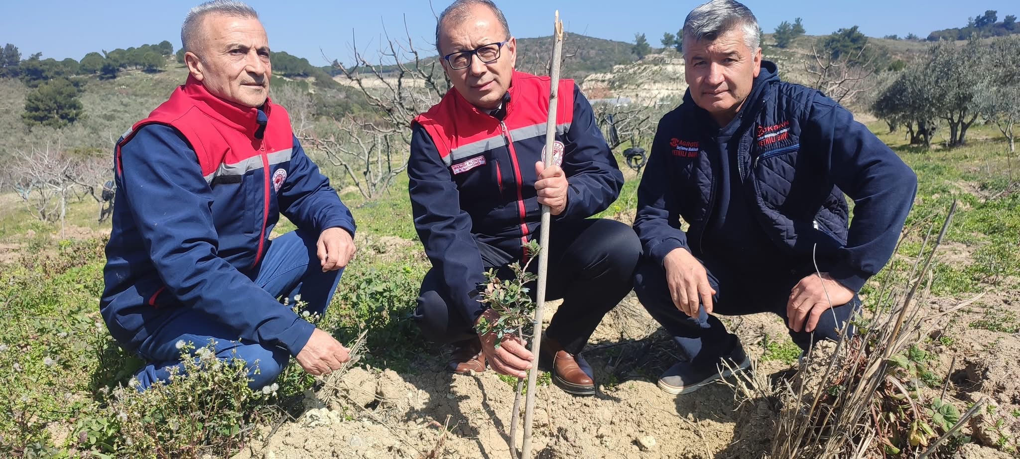 Aydın’da toplam 540 sakız fidanı toprakla buluştu