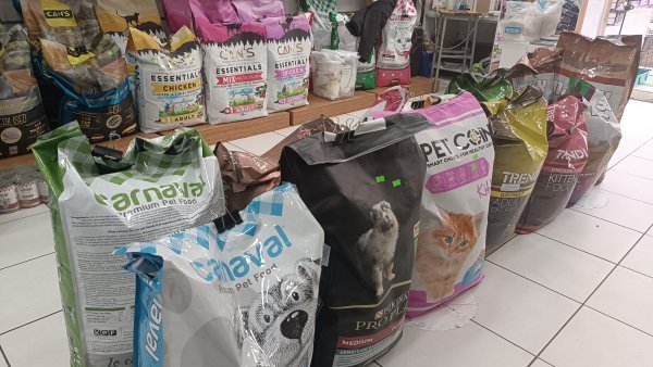 Aydınlı pet shop işletmecisi anlattı: “Sadece hayvanların ihtiyaçlarına para harcıyorlar”