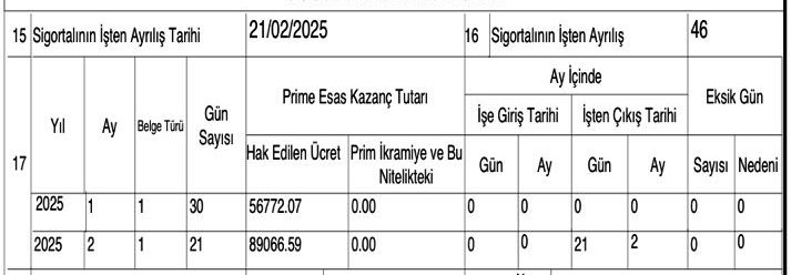 Fernas İnşaat’ta bir işten çıkış krizi daha