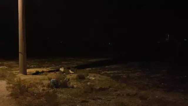 Sokak köpekleri 2 yaşındaki çocuğu öldürdü! Sokağa dökülen vatandaşlar isyan etti 