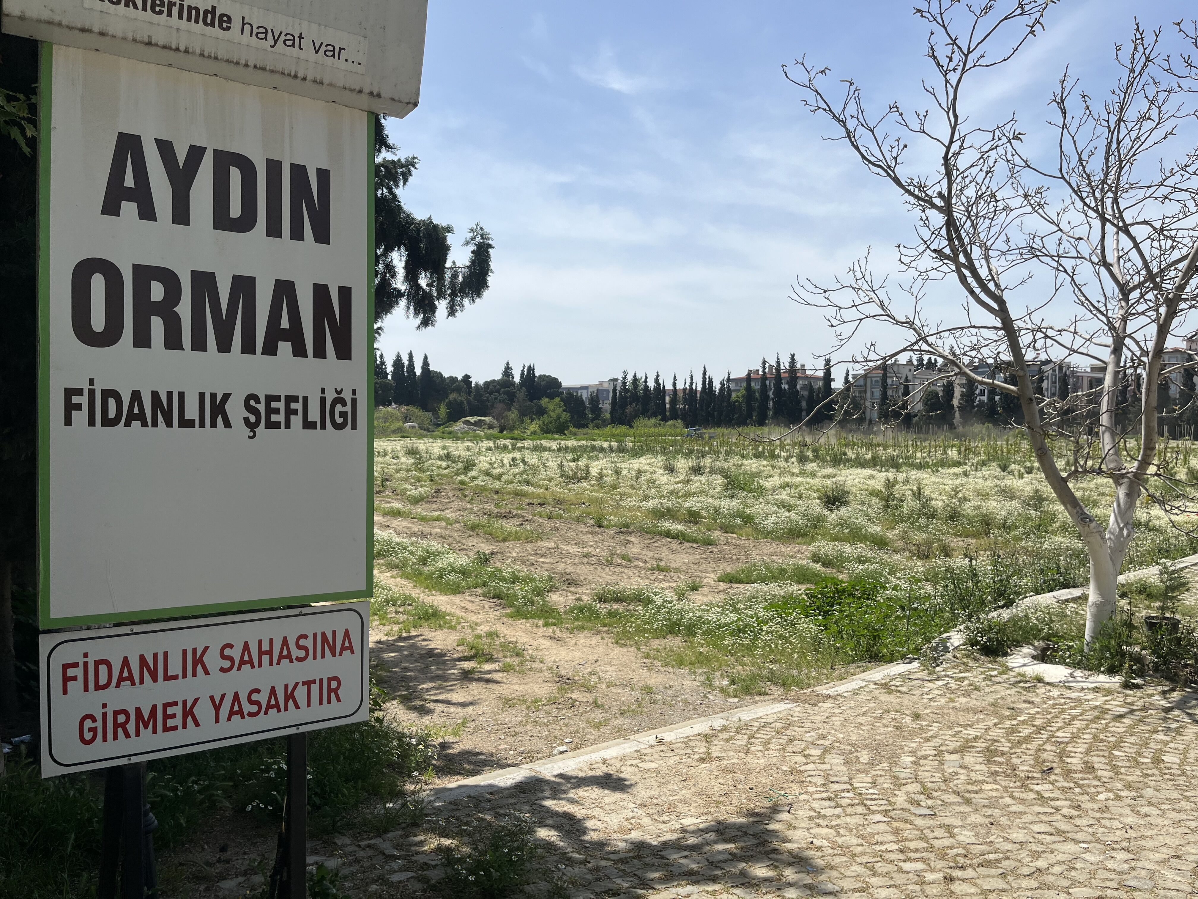 Aydın Baro Başkanı Arslan süreci değerlendirdi