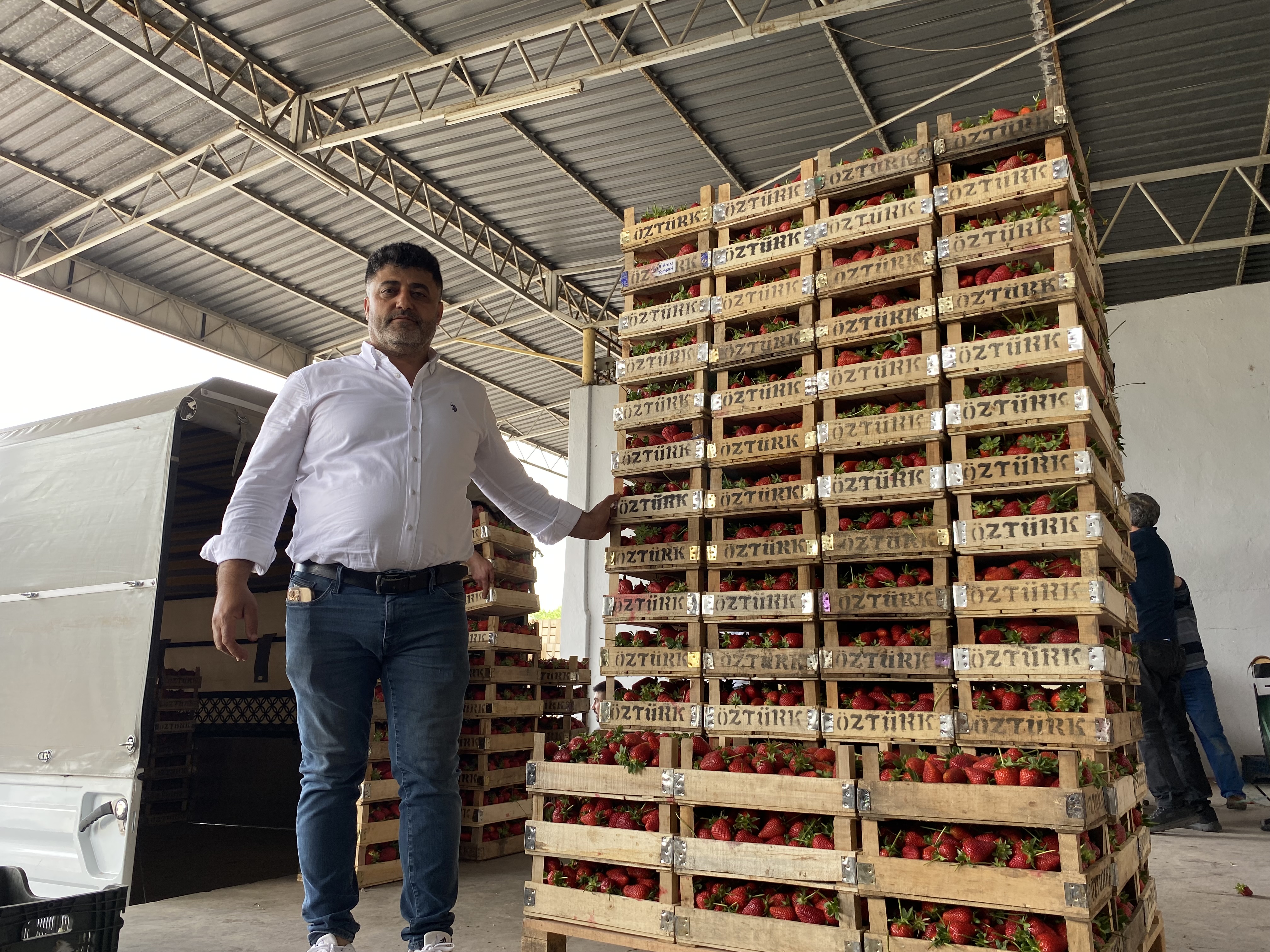 Aydın’da zirai don üreticileri zarara uğrattı: O ilçede çiftçilerin mağduriyeti sürüyor