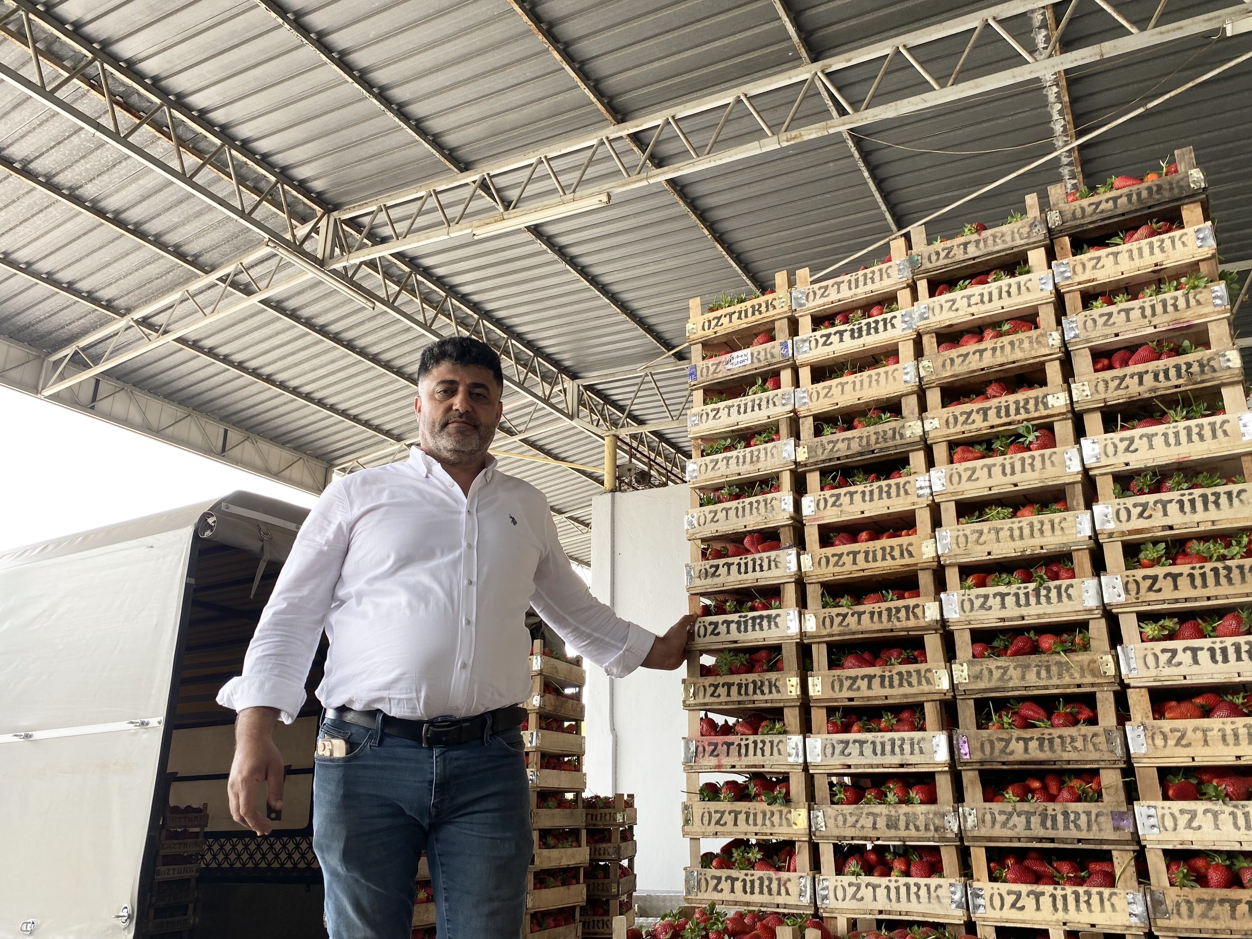 Aydın'ın çilek ihtiyacının yüzde 25’i buradan karşılanıyor