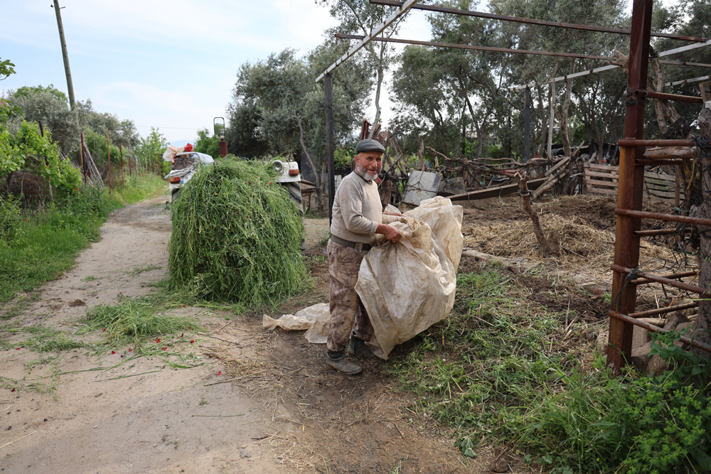 Emeklilikte hayatı değişti: Sağlığı çiftçilikte buldu