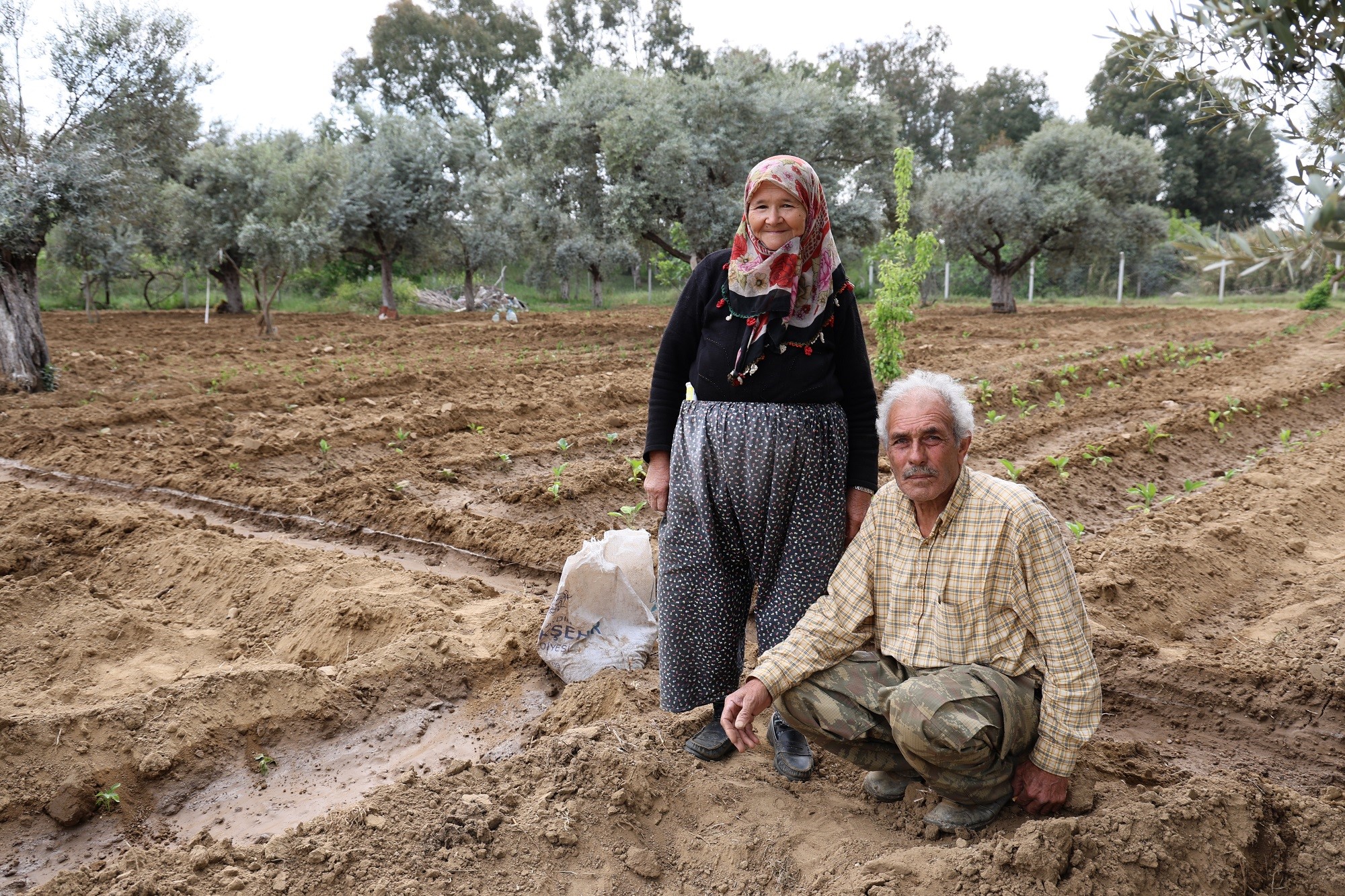 50 yıllık evlilik bahçede yeşeriyor
