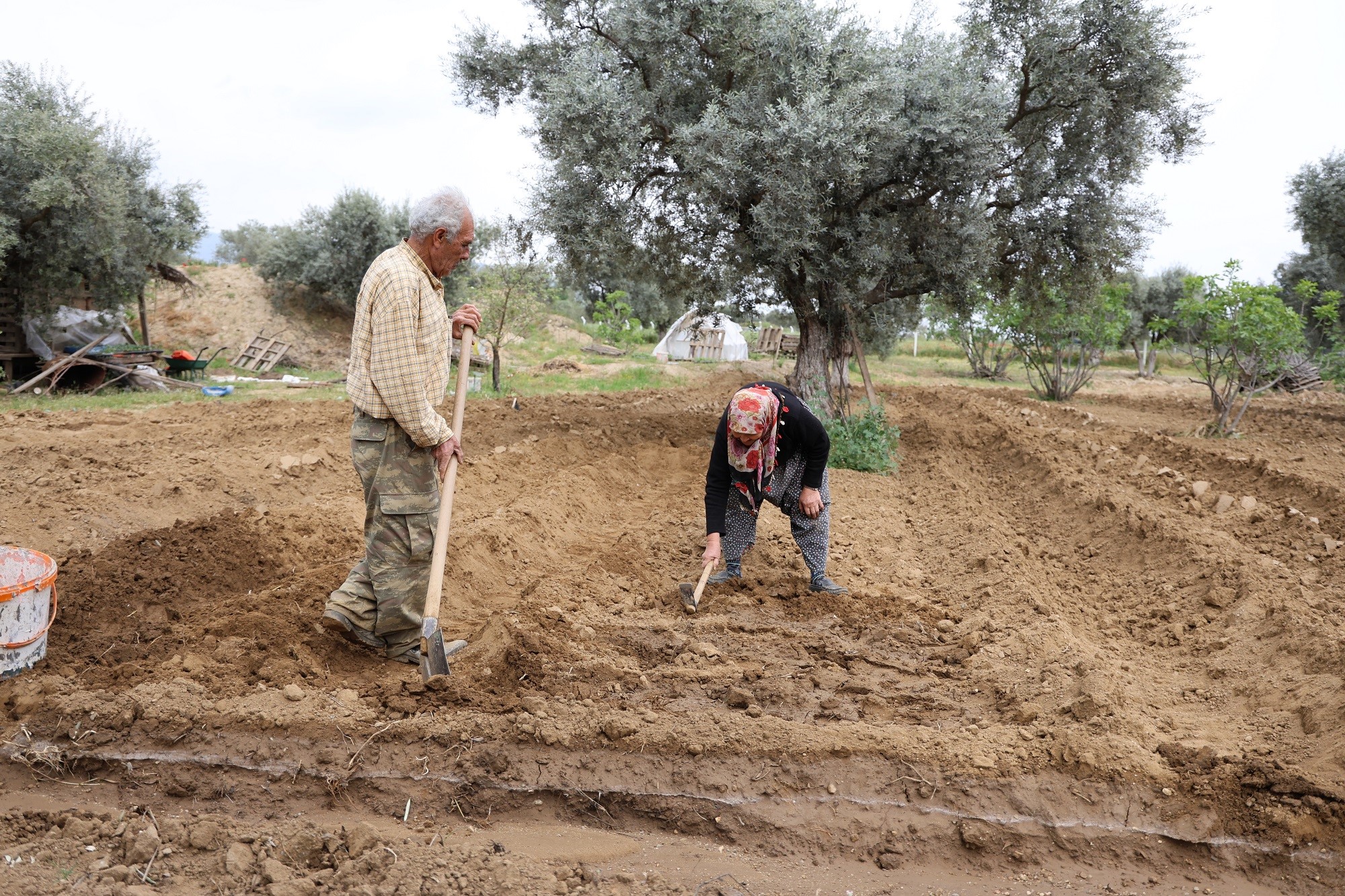 50 yıllık evlilik bahçede yeşeriyor