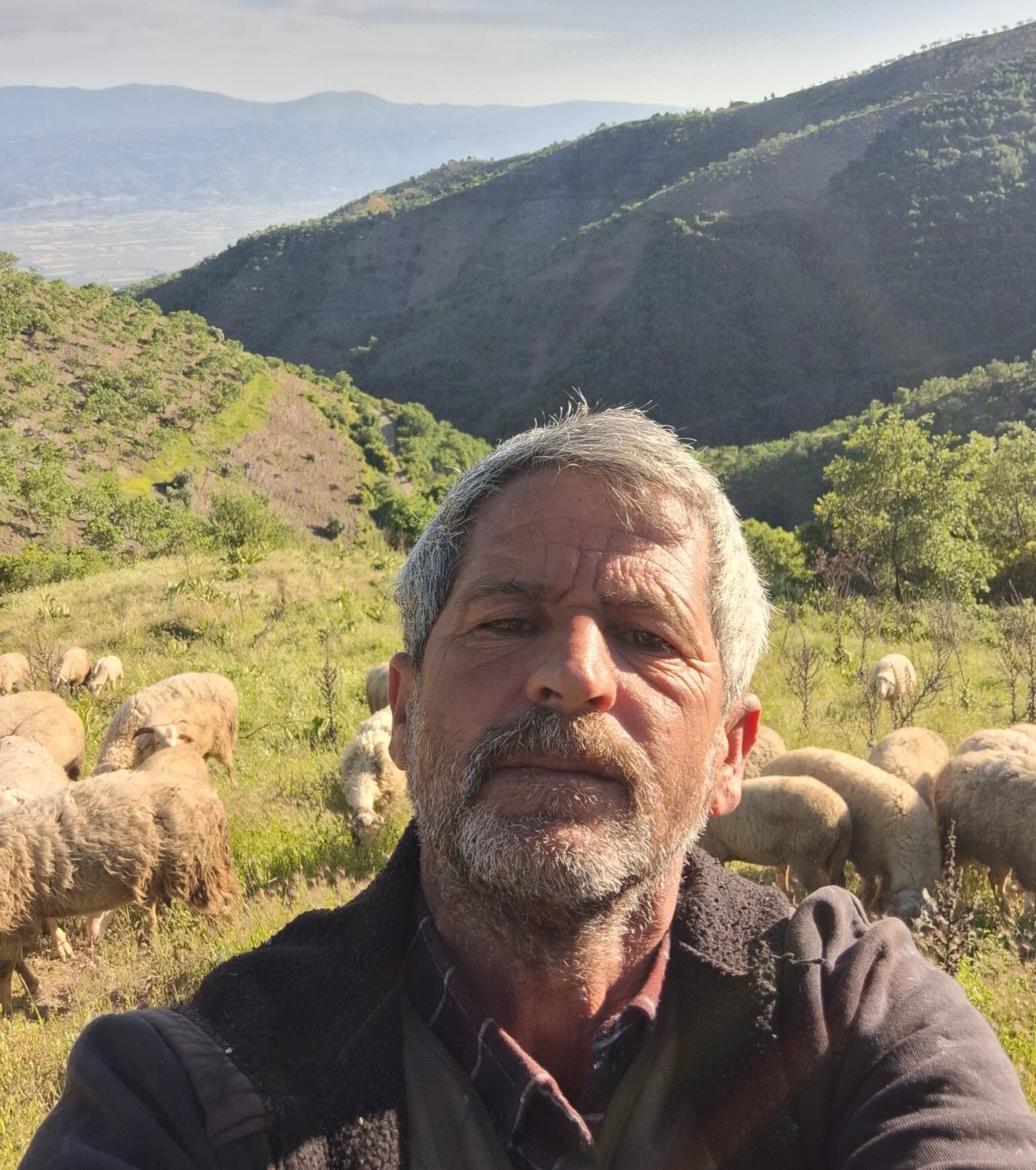 Aydın’da çobanlar yayla yoluna geç koyuldu