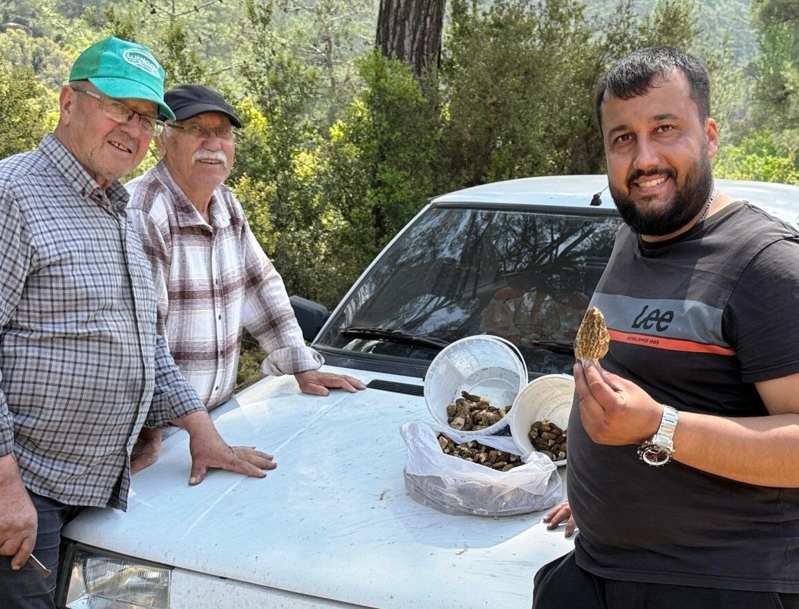 Aydin Daglarinda Kuzugobegi Zamani Aydinda Kuzugobegi Hasadi Suruyor 567248 3D70286C1Ea08Fabab0B5446A4Ad0Bb8