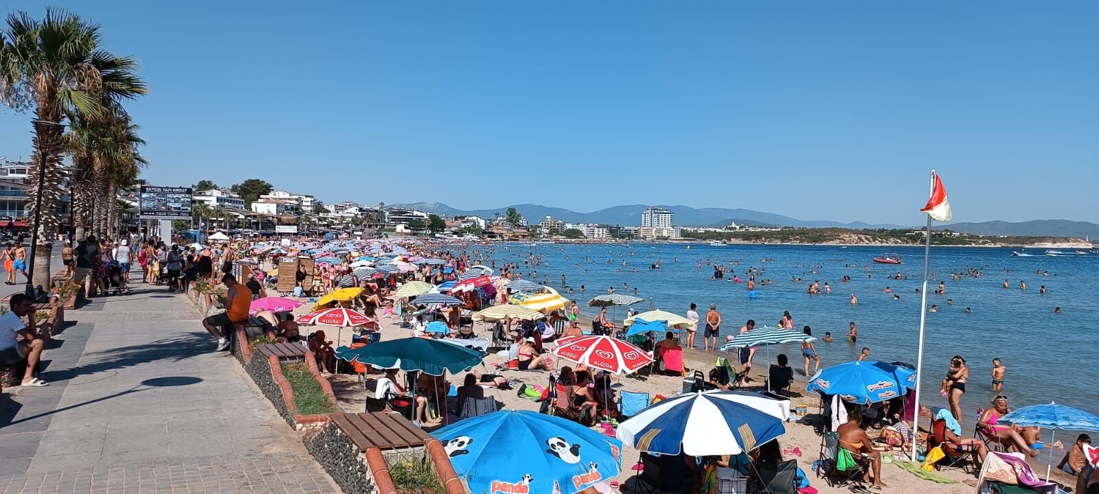 Aydın’da hazine arazileri 5 yıldızlı otel için tahsis ediliyor 