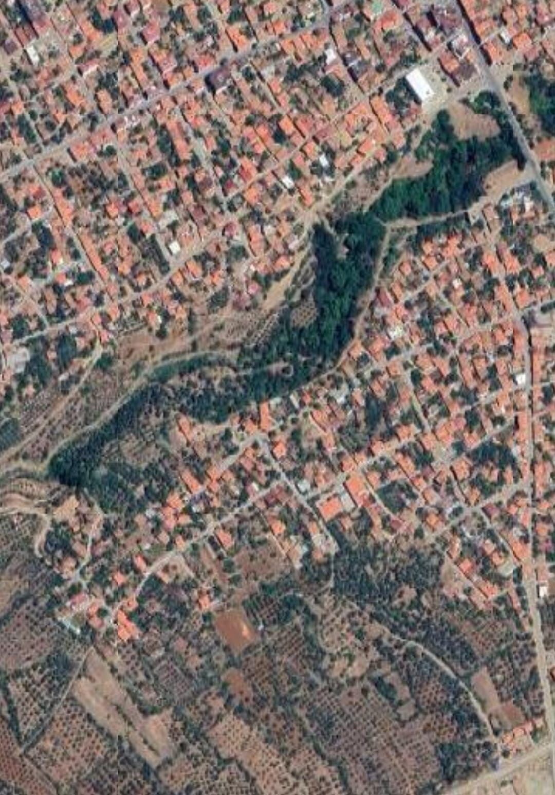 Aydinda Kusaktan Kusaga Gezen Bir Turkunun Hikayesi Hacret Kahvesi Olayi 566369 5Aeb7Fab8Da7E626Cf76C27Ecc619Ad6