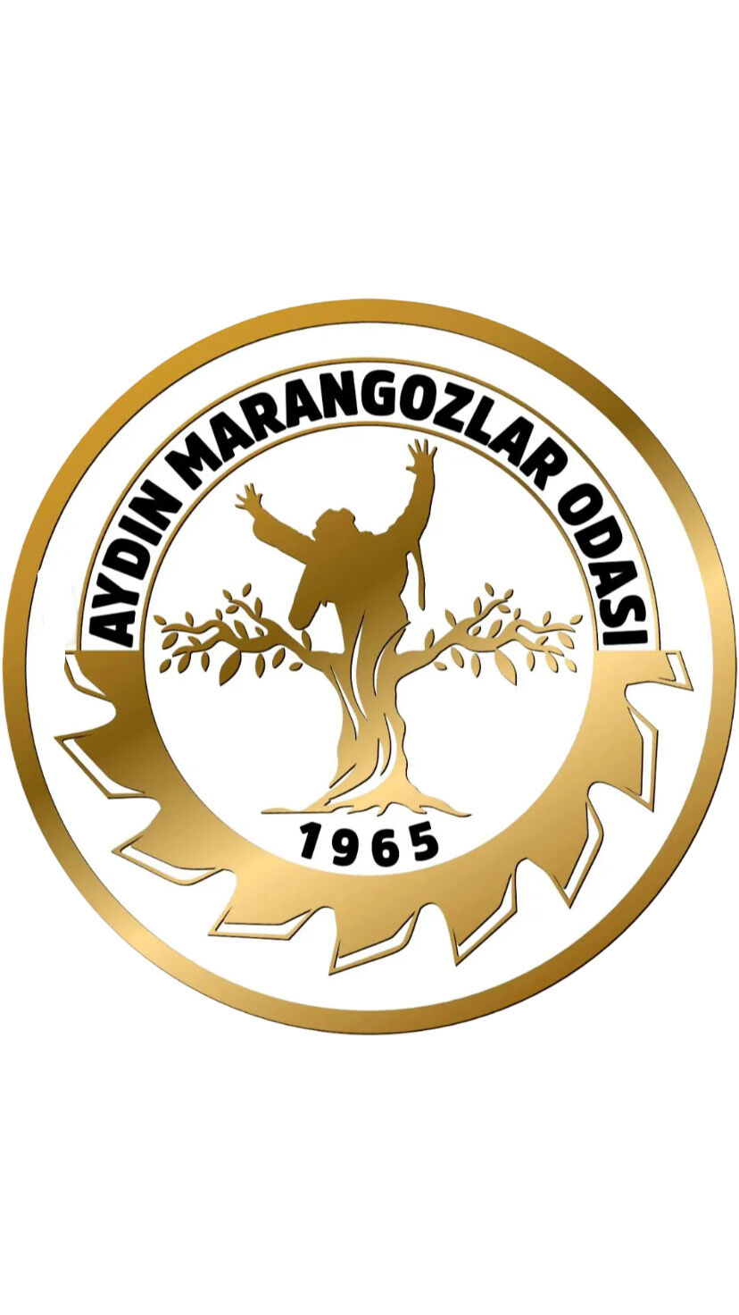 Aydindaki Odanin Yeni Logosu Buyuk Begeni Topladi 570460 426354D16330926Fddf06850640459B5