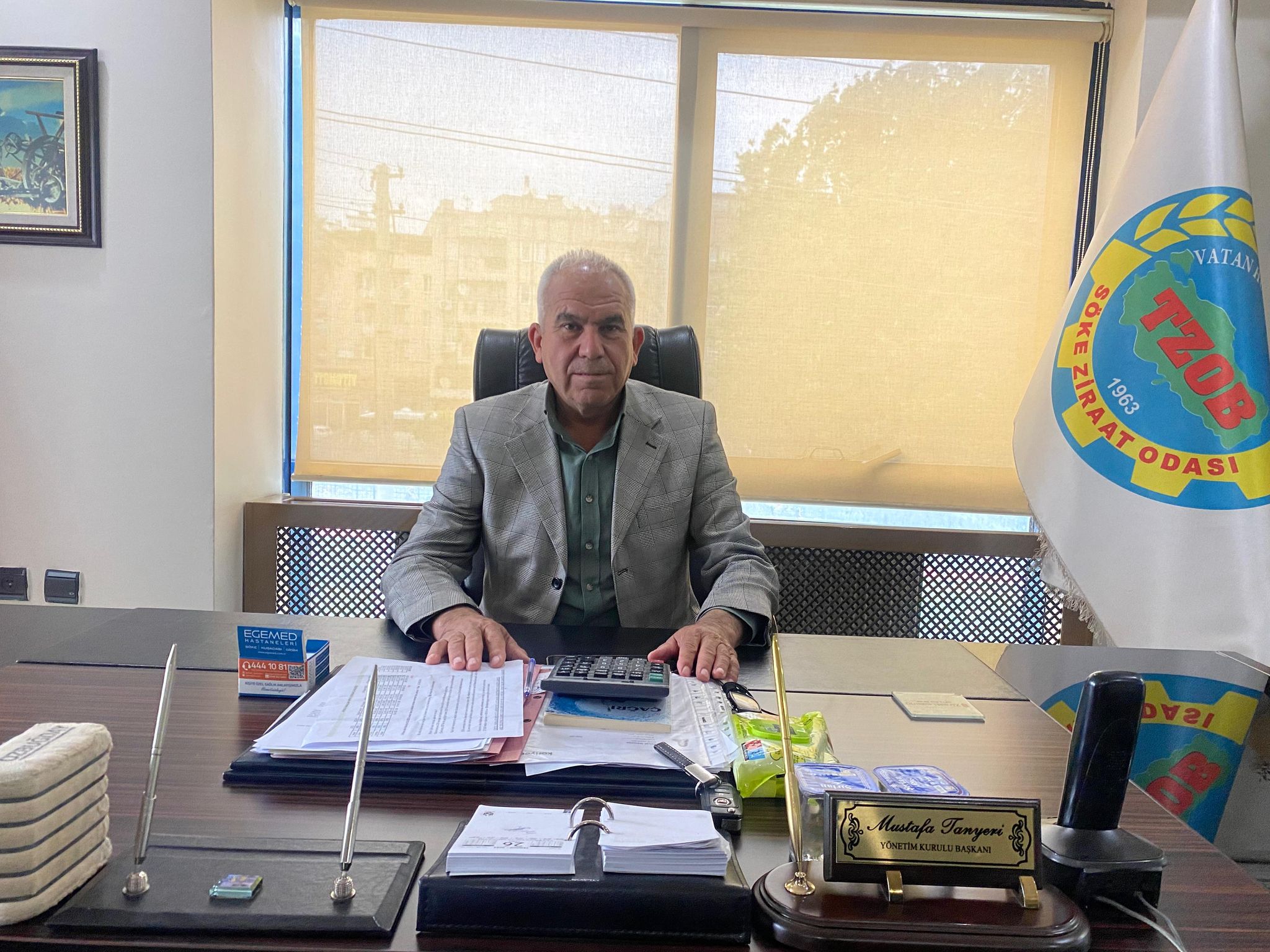 Aydın’daki yağışlar umutları yeşertti