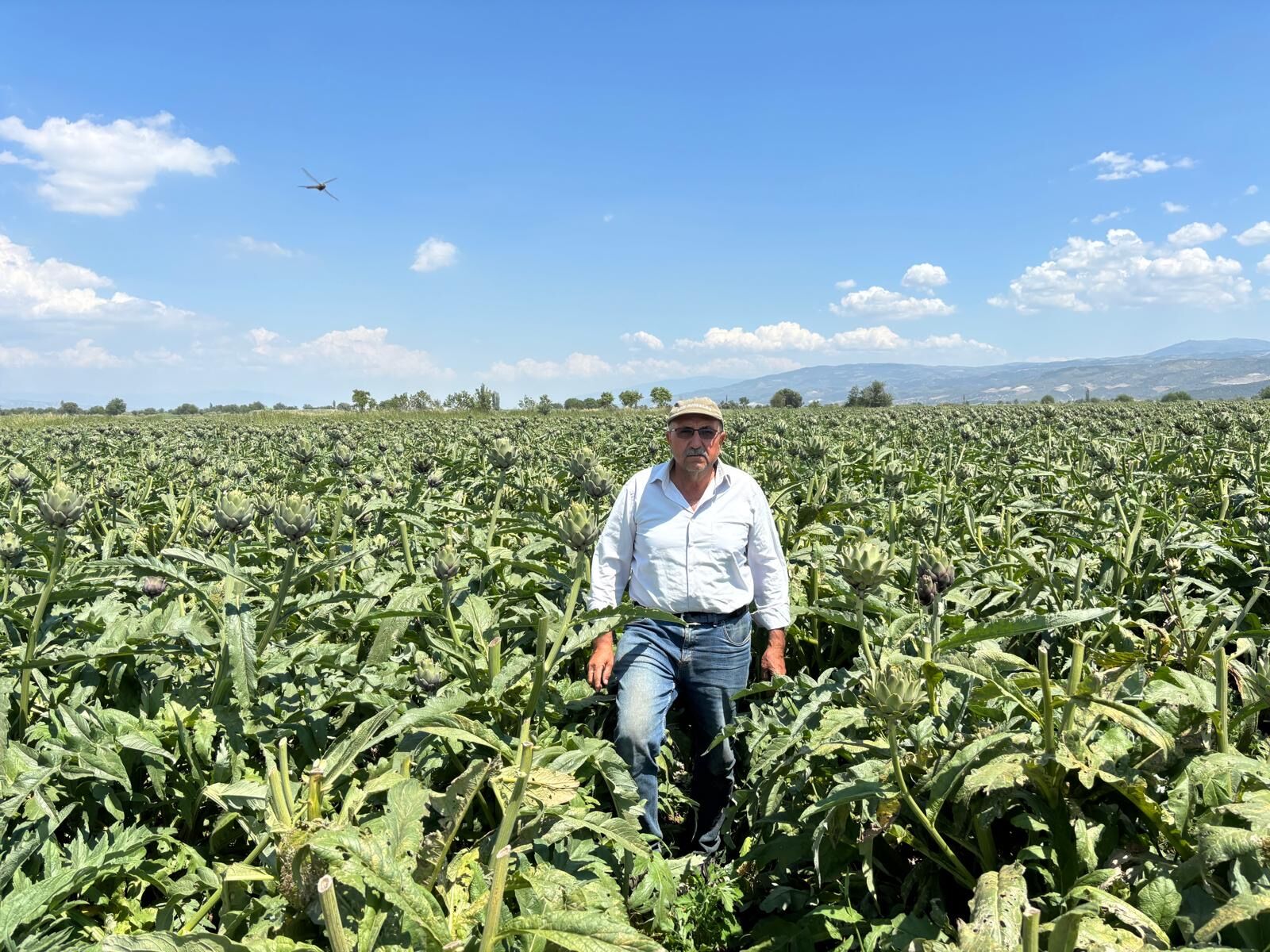 Aydın’ın tescilli değeri Türkiye’ye yayılıyor