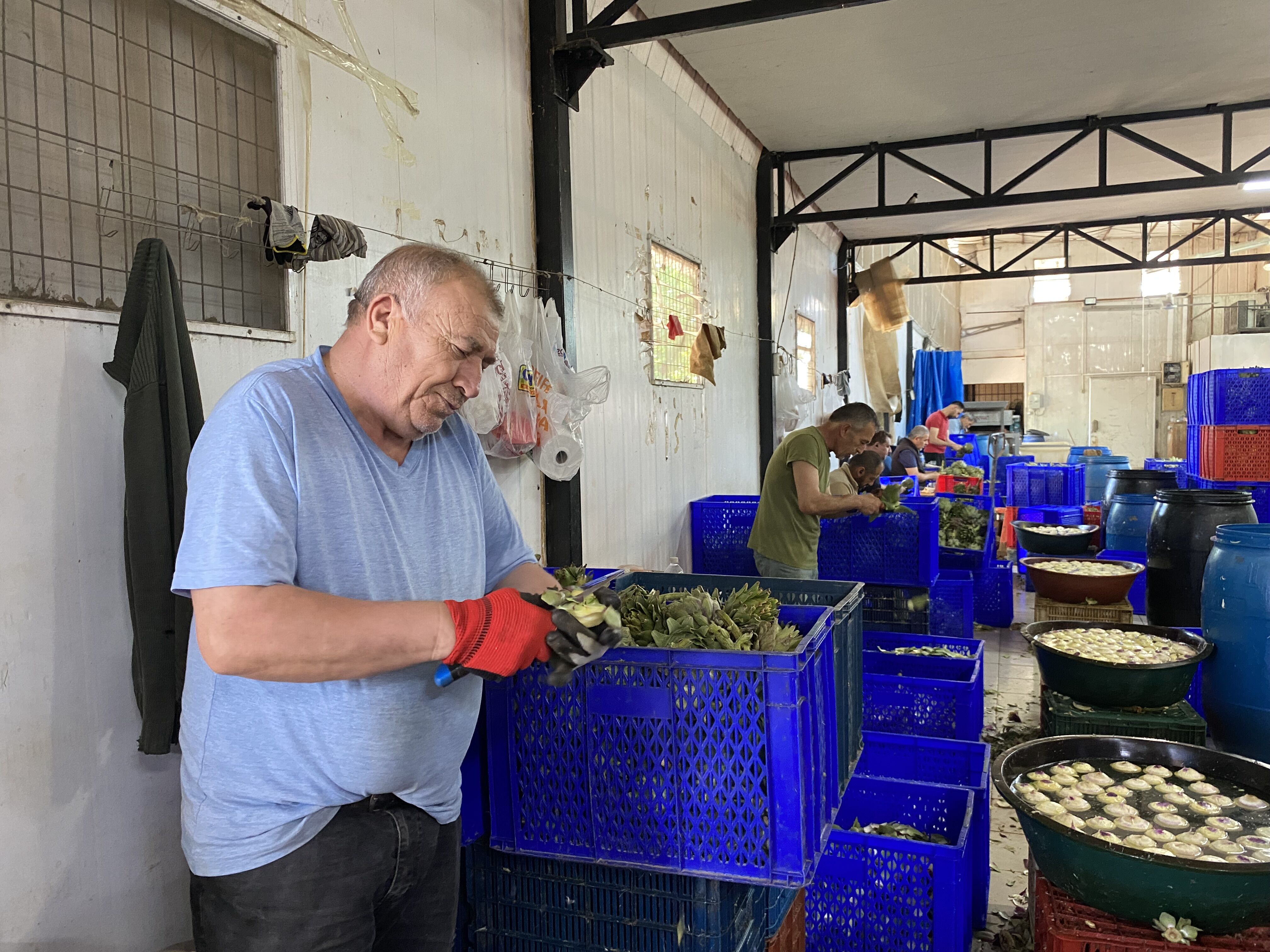 Aydın’ın tescilli değeri Türkiye’ye yayılıyor