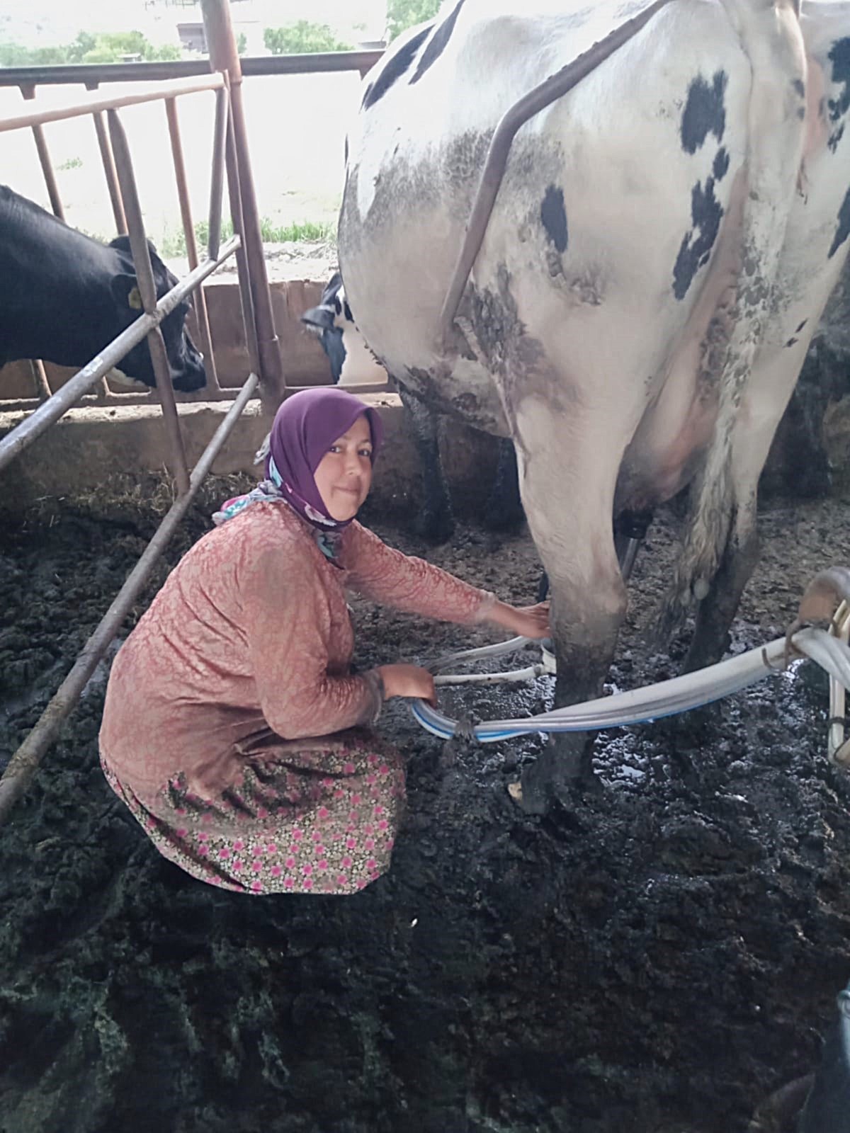 Aydinli Annenin Yurek Isitan Hikayesi Traktorun Direksiyonunda Anne Sefkati 566354 320A944Ccba0E70E3Bb0A4Dc6Eb16B9E