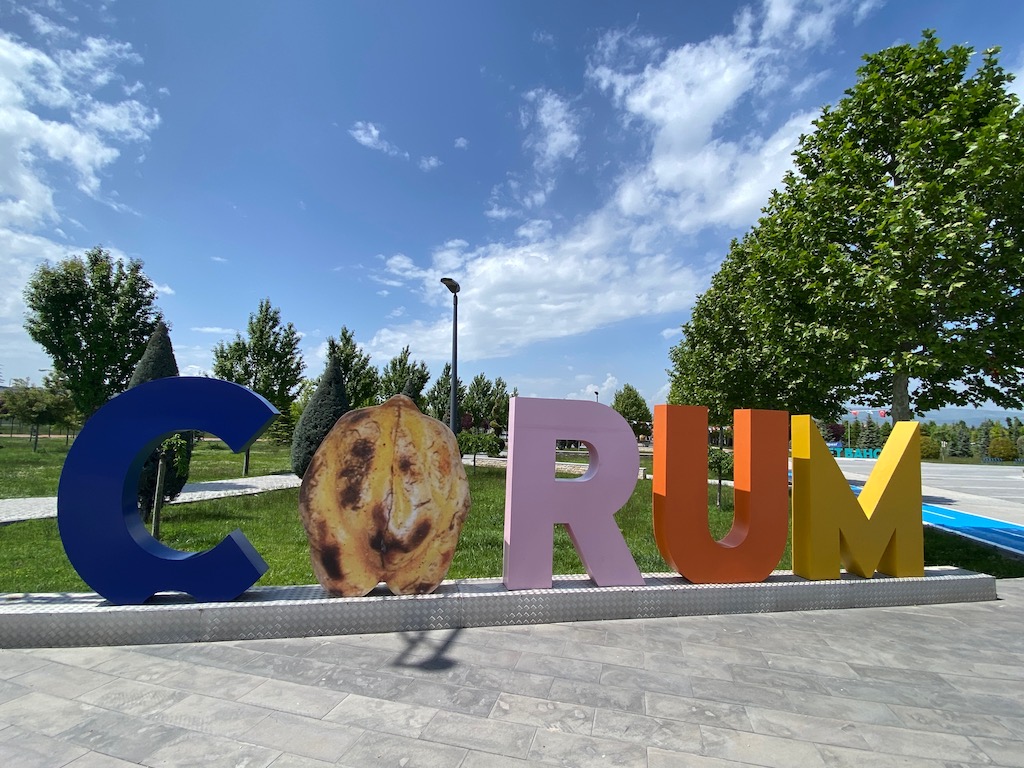 Aydın’ın iklimi karasallaşıyor 