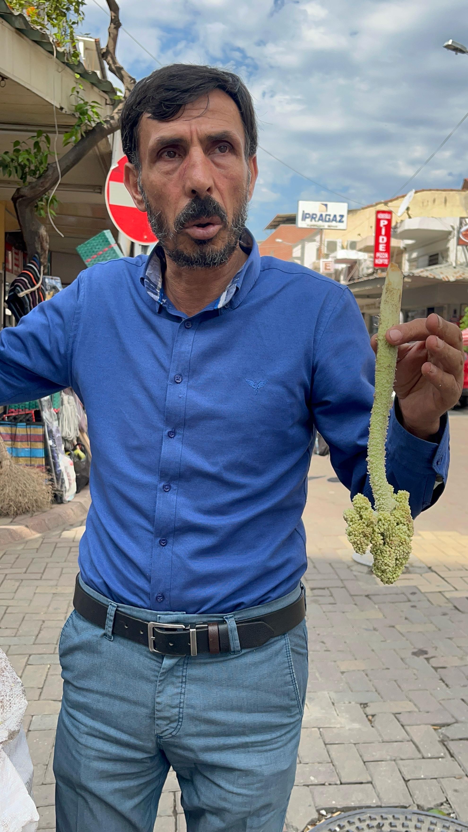 Doğal şifa kaynağı Işkın Otu Nazilli’de tezgâhlarda
