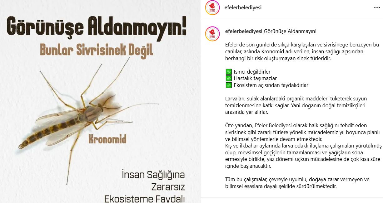 Efeler Belediyesinden Yalanci Sivrisinek Koronomidler Hakkinda Onemli Aciklama Insan Sagligina Zararsiz 566121 4F2C835D2D6379E3021Bbe393F727200