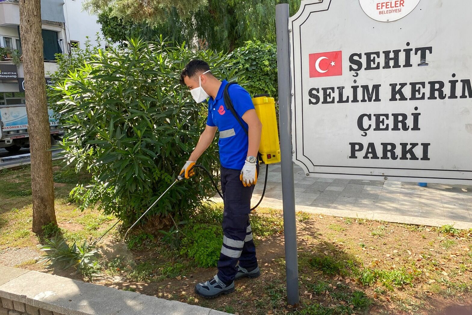 Efelerin Yesil Alanlarinda Kenelere Gecit Yok 570125 3Ad7364F32Ddcfa35Eb5Fbb02C6E7A26