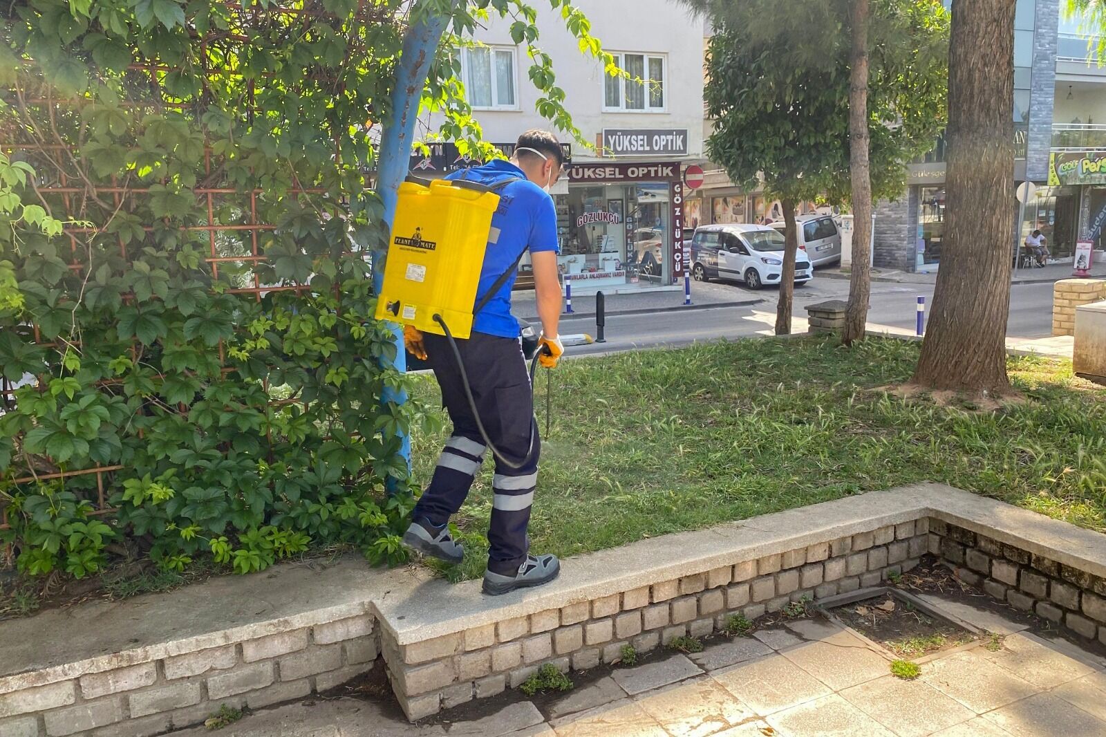 Efelerin Yesil Alanlarinda Kenelere Gecit Yok 570125 F716C64E0882Fc3Dd9D02E966Bd77158
