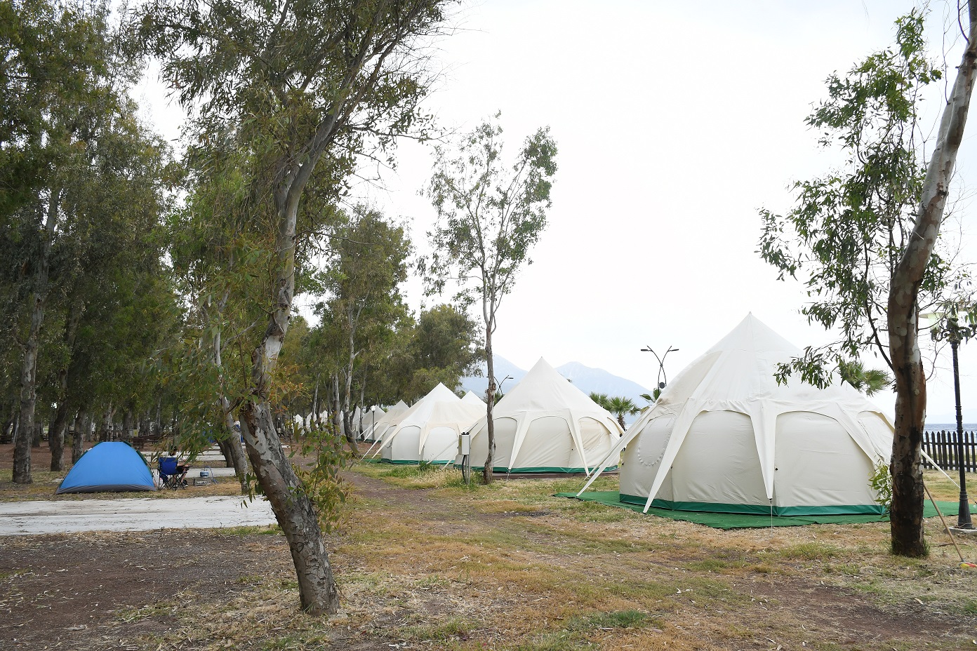 Kampcilarin Yeni Gozdesi Ada Camping Konuklarini Agirlamaya Hazirlaniyor 566512 20F900A39B31A71331Bc0F254D9305D3