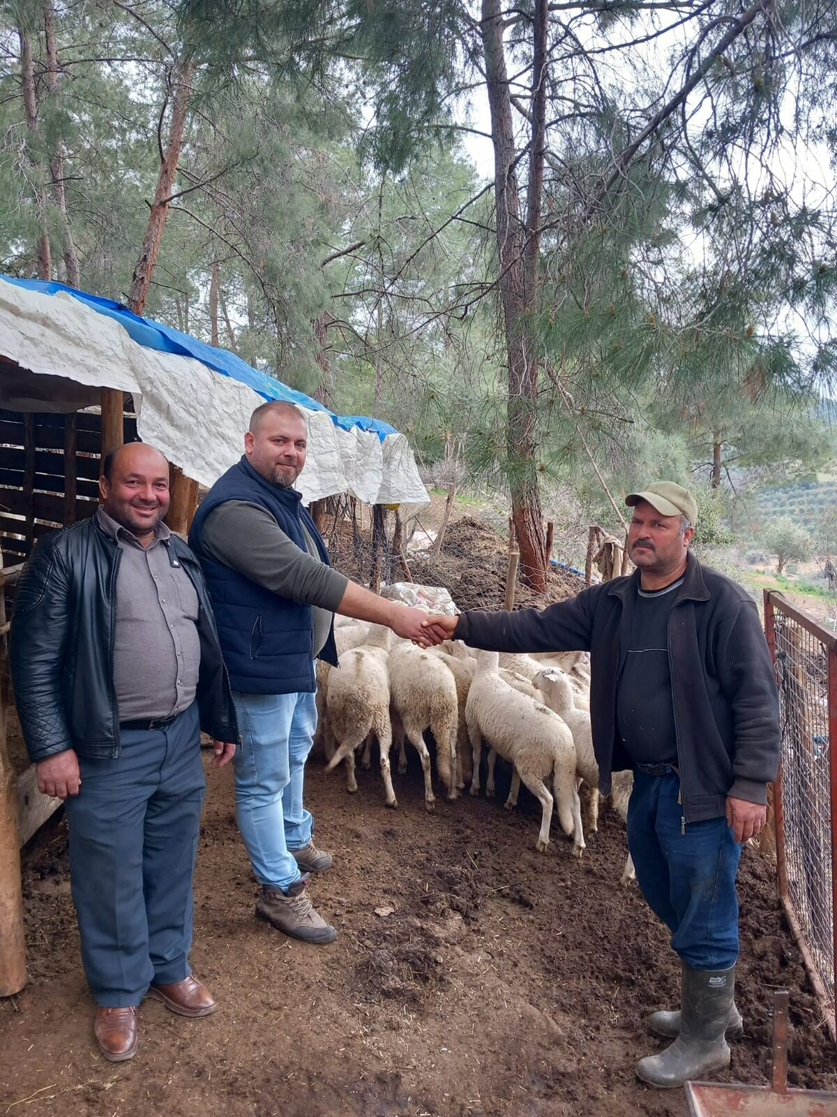 Kurban Bayramı öncesi Aydınlı üreticiler temkinli