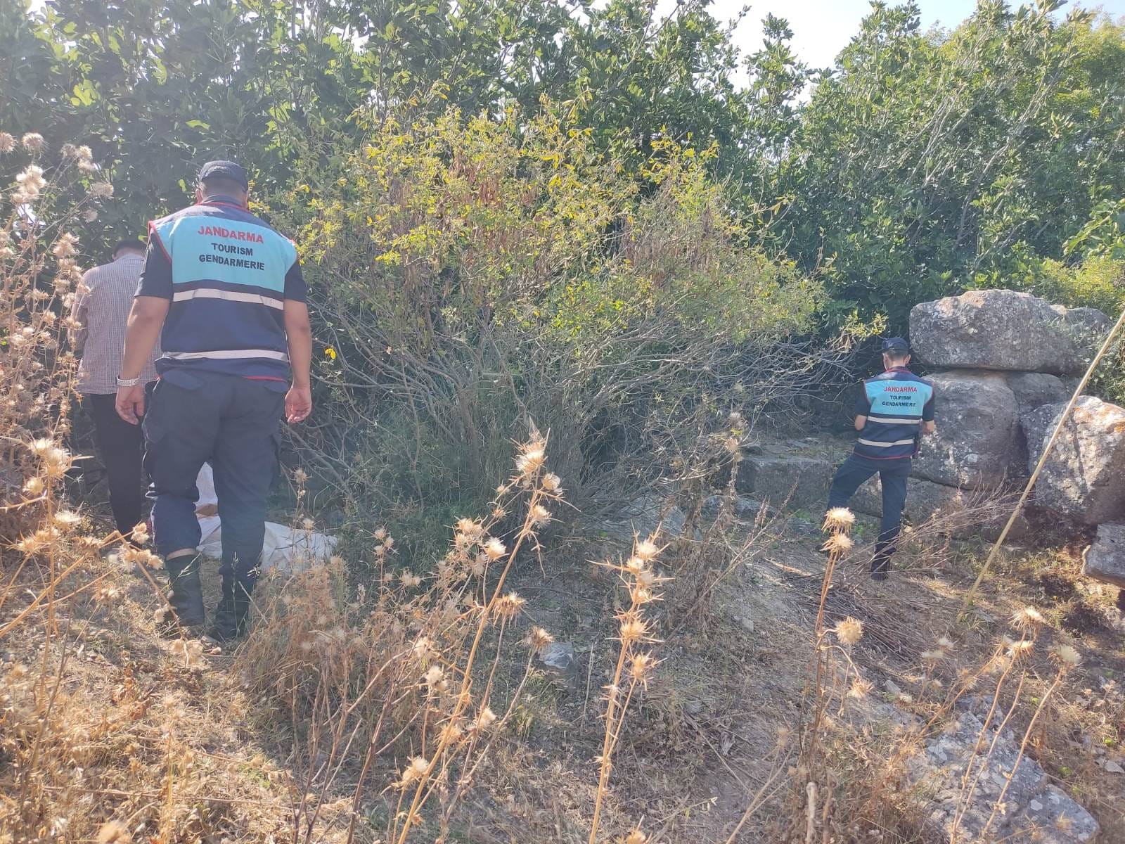 Sit alanından ilek çaldılar: Jandarmaya yakalandılar