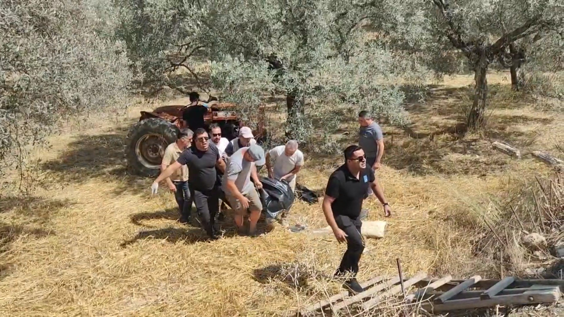 Aydın'daki zeytin bahçesinde feci ölüm! Yaptığı büyük hata sonunu getirdi