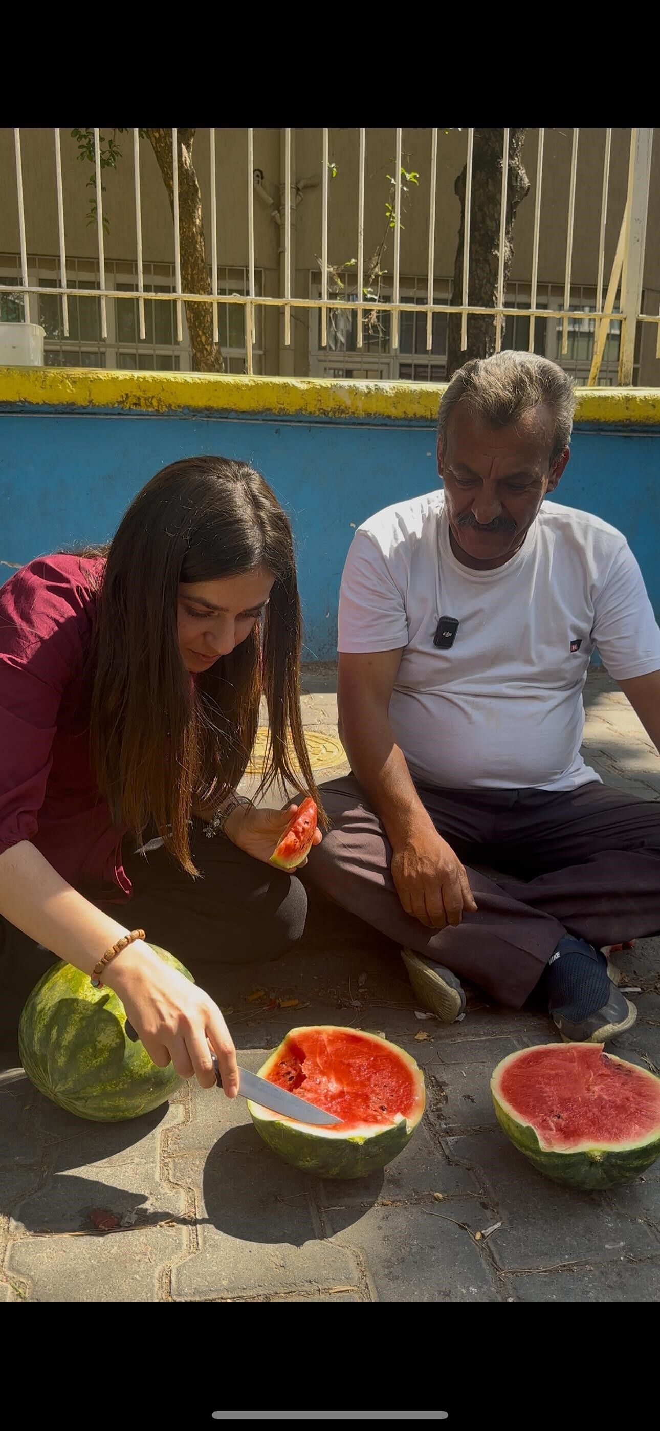 Yapay zeka Aydın karpuzunu doğru seçemedi: Ustalığın önemi bir kez daha ortaya çıktı