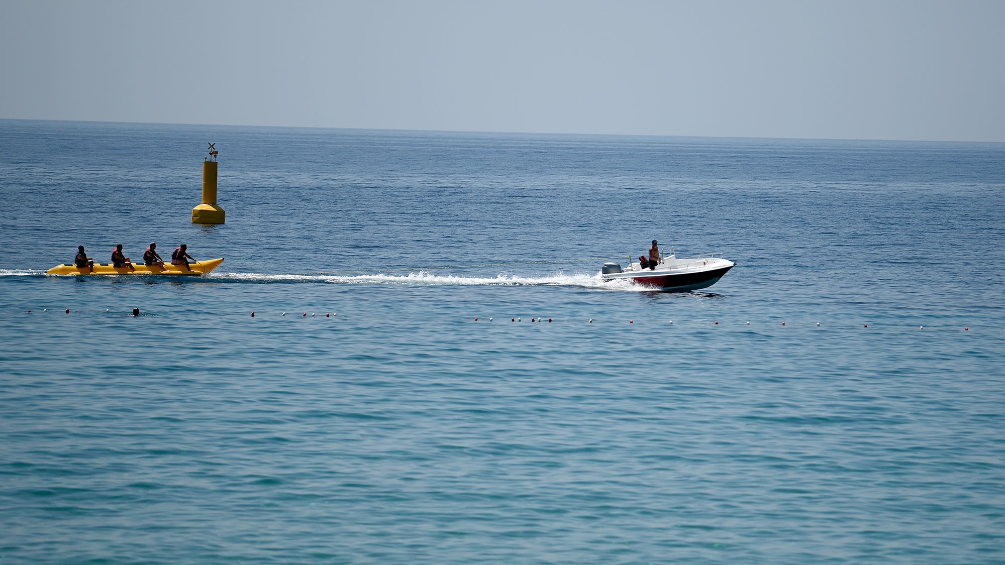 A W484955 01
