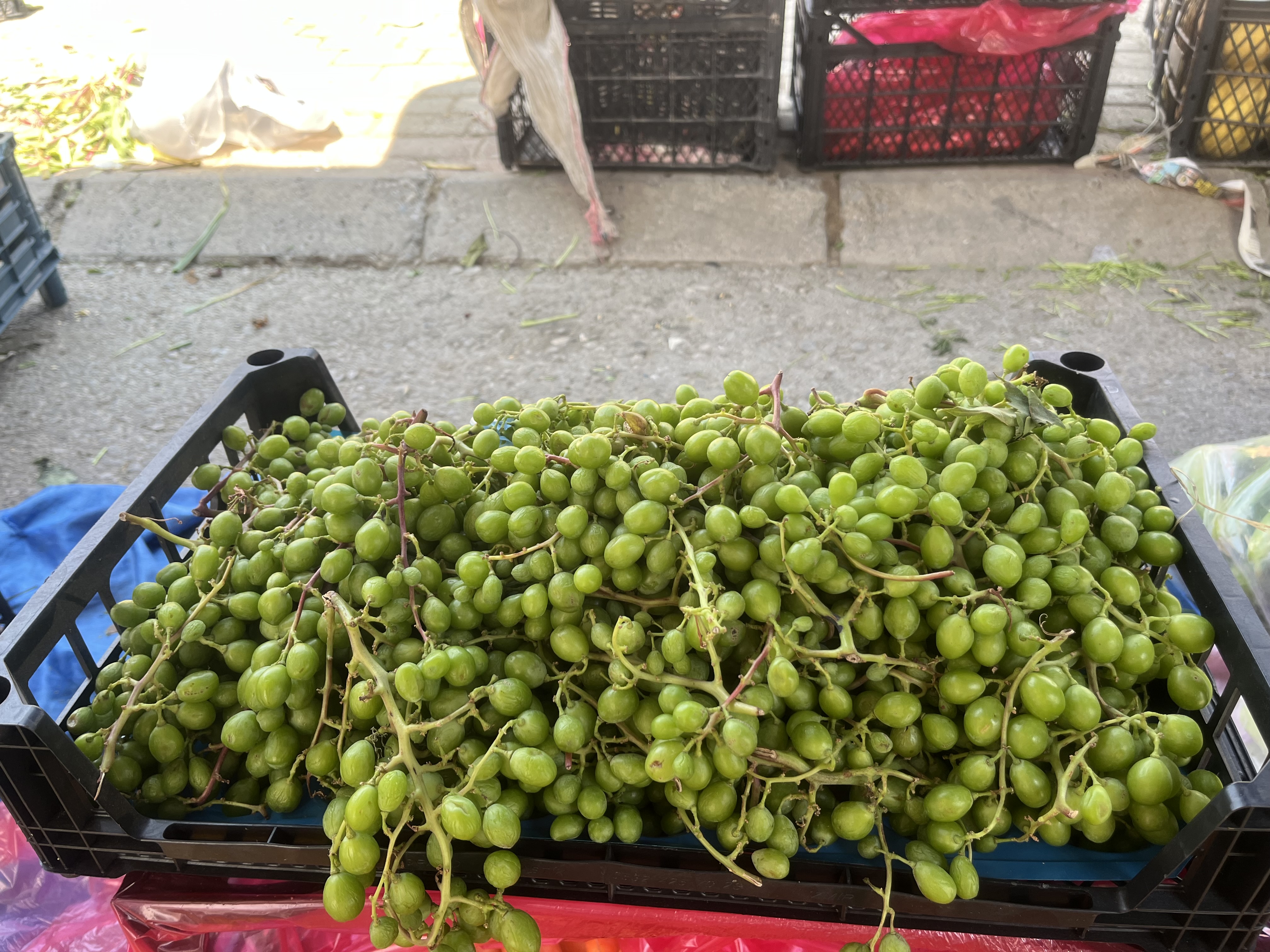 Aydın’da limonun yerini koruk aldı