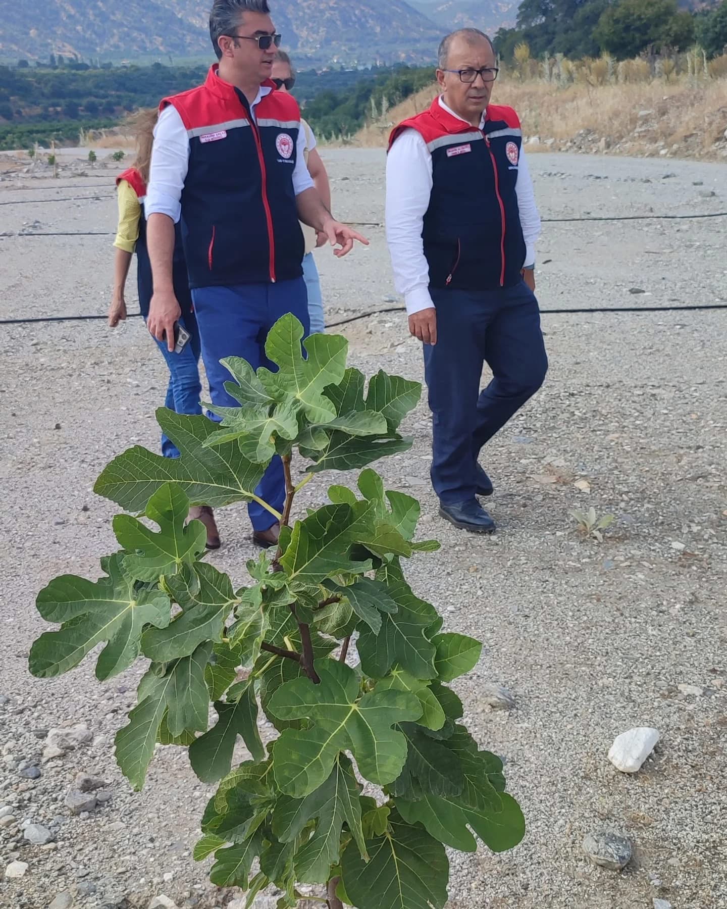 Aydinin Ilk Ilek Bahcesi Buyuyor Mudur Altintas Yerinde Inceledi 575789 Fb3E011A8E01Cc398C1B7A9422Ddd372