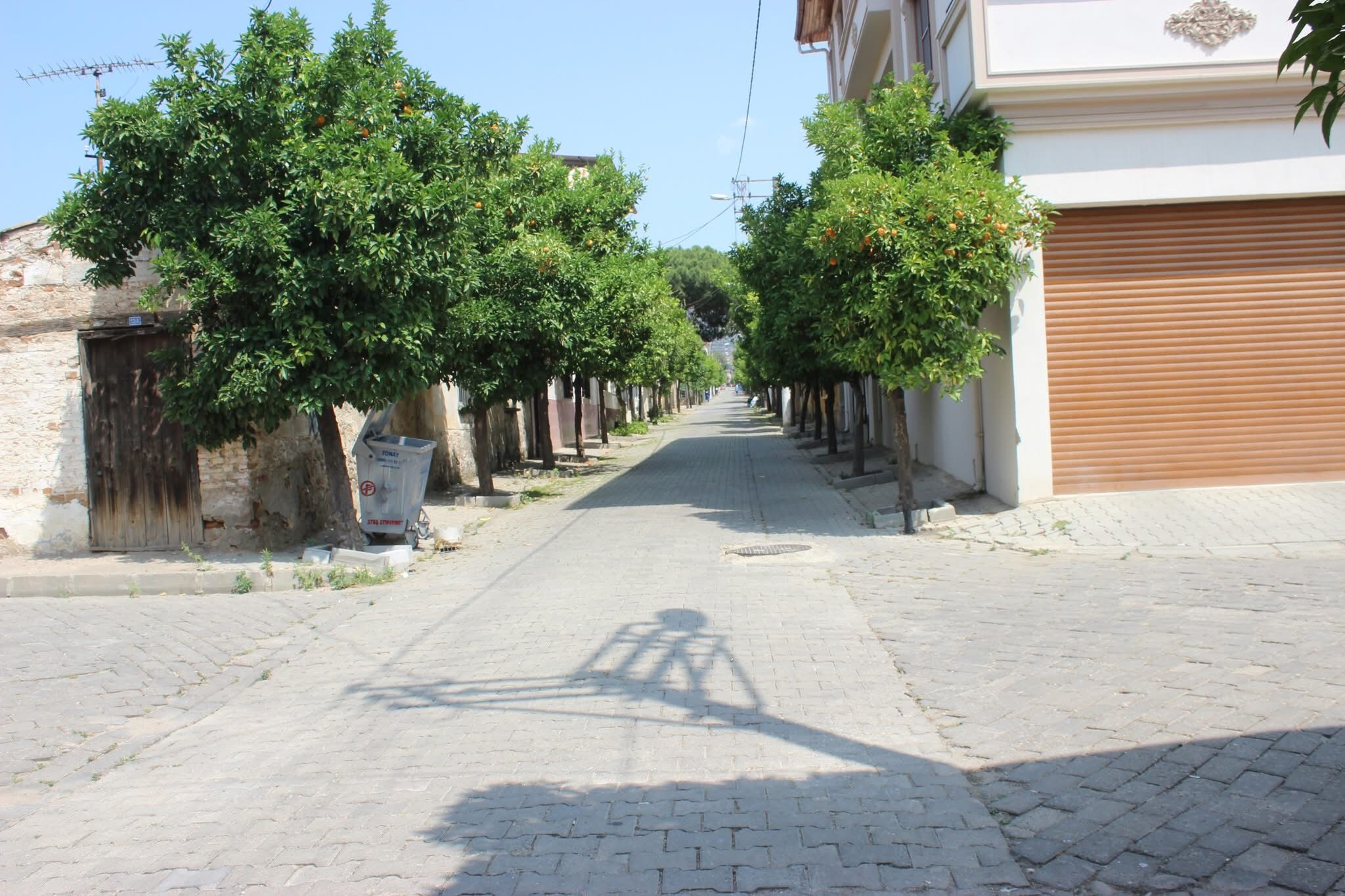 Aydınlı öğretmen depremde hayatını kaybetmişti: İsmi bir sokağa verildi