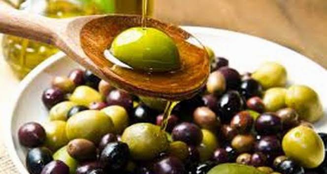 Baskan Kendirlioglu Zeytin Yasasini Degerlendirdi Zeytinliklerimizi Korumaliyiz 578224 Edced04762C40Eed08Eed9Cbb8D83025