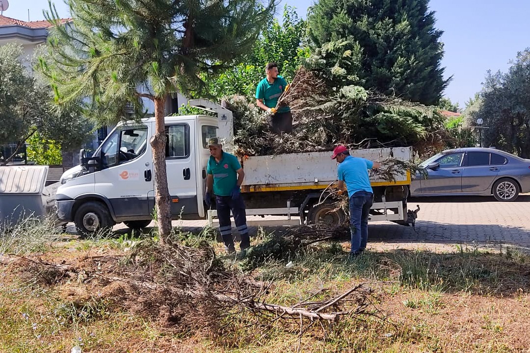 Baskan Yetiskinle Efelerin Yesil Alanlari Temiz Ve Bakimli 576197 350Bf25F5100489E3Befc570F6E2D245