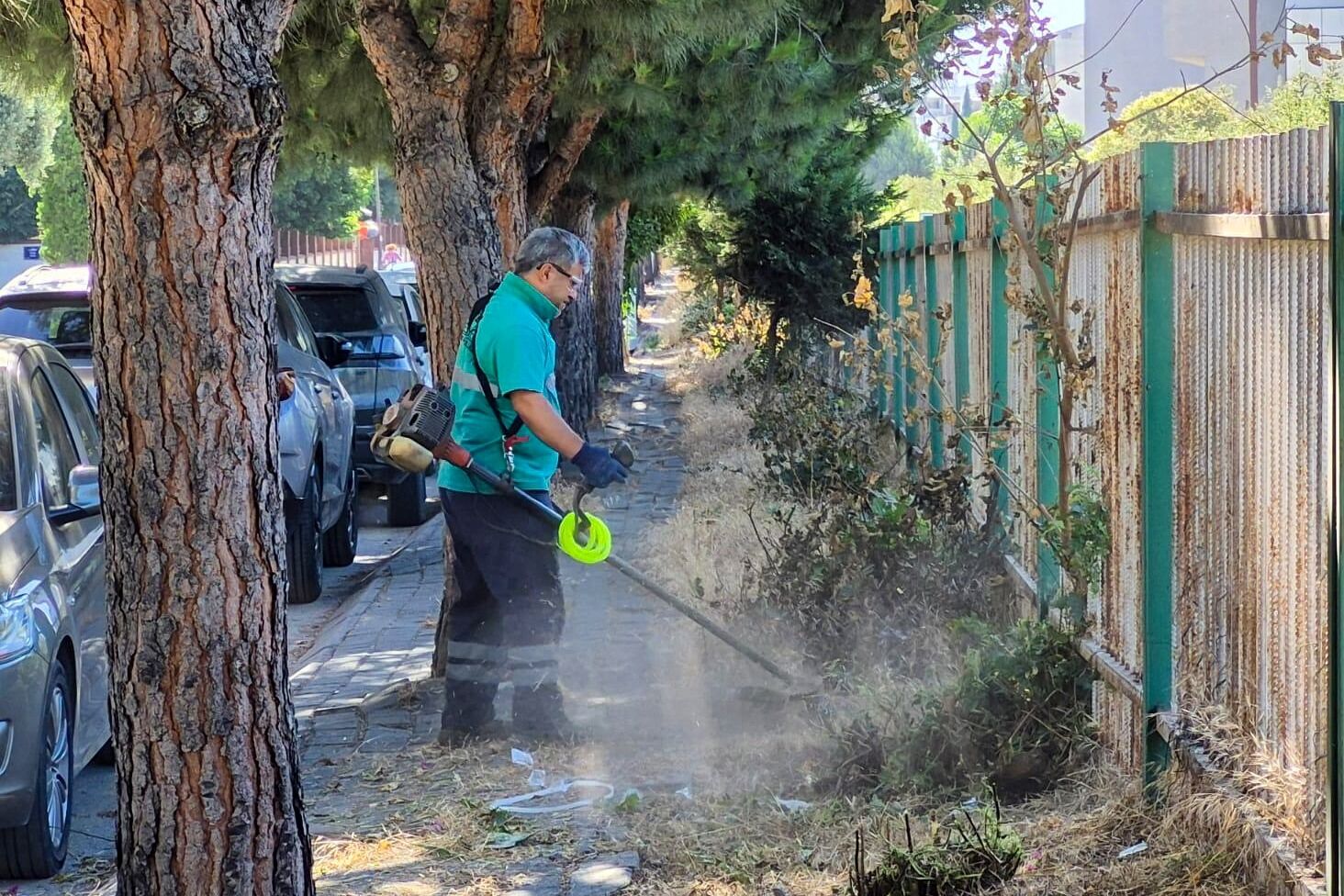 Baskan Yetiskinle Yesil Alanlarda Temiz Ve Duzen Hakim 579846 4329508Afb163444F35365Ac46Fe9Bcd