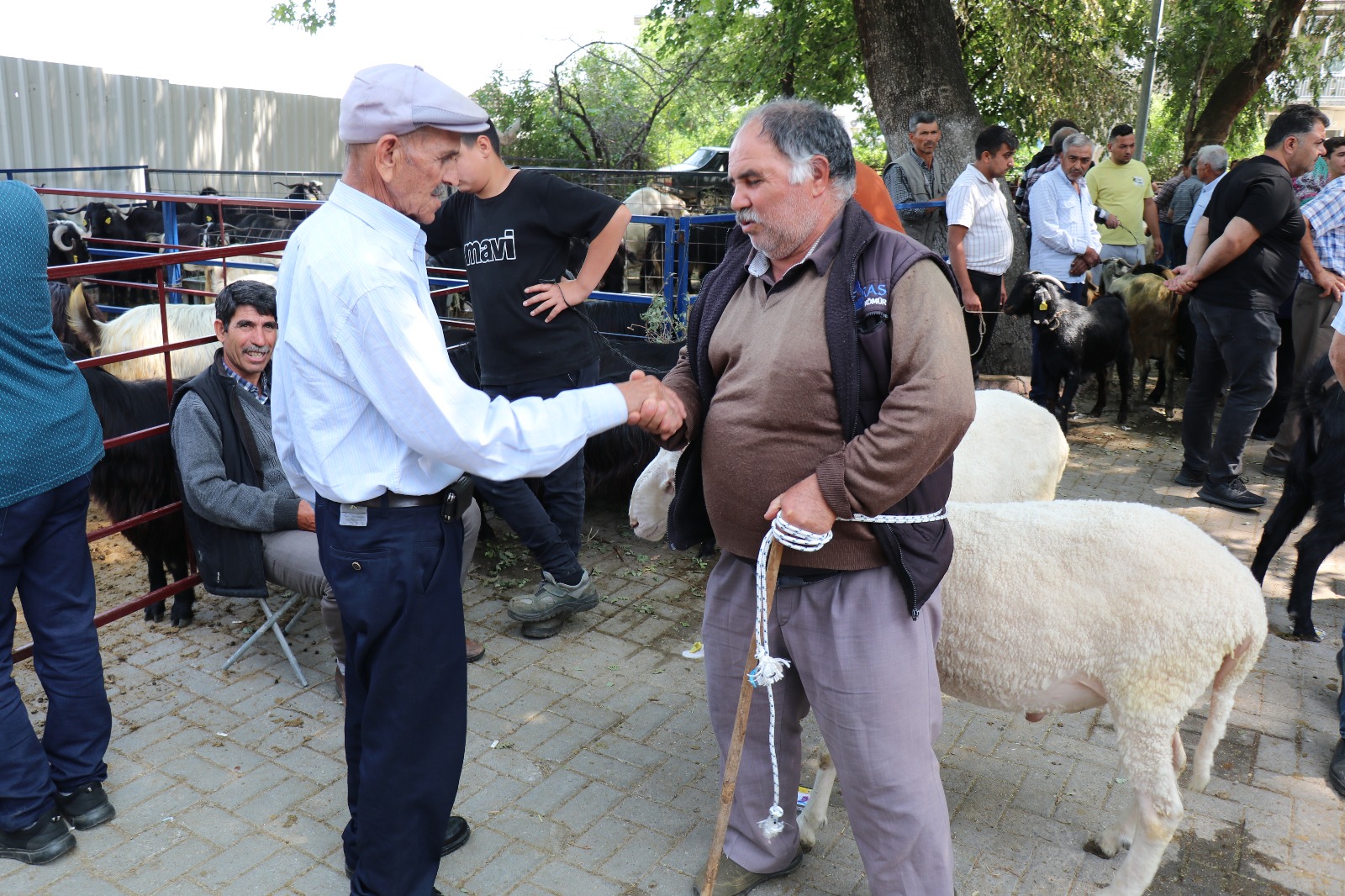 Bozdoganda Kurban Satis Yerleri Hazir Belediye Denetimde 573038 Af77650191B74A07Eaacf421F1A40Bd4