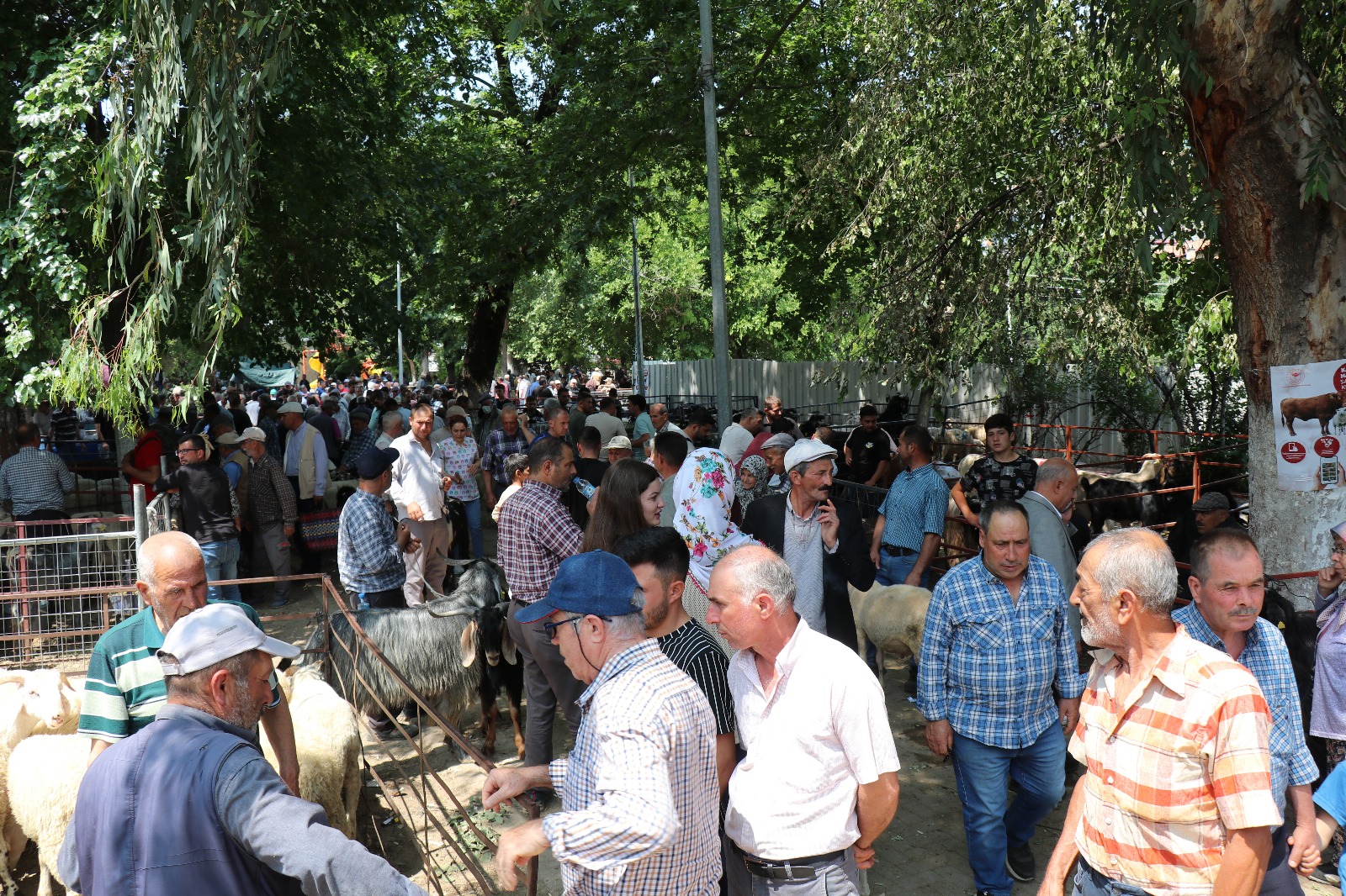 Bozdoganda Kurban Satis Yerleri Hazir Belediye Denetimde 573038 Fe814D0869Bcfc6E4Baea2B6A84051F7