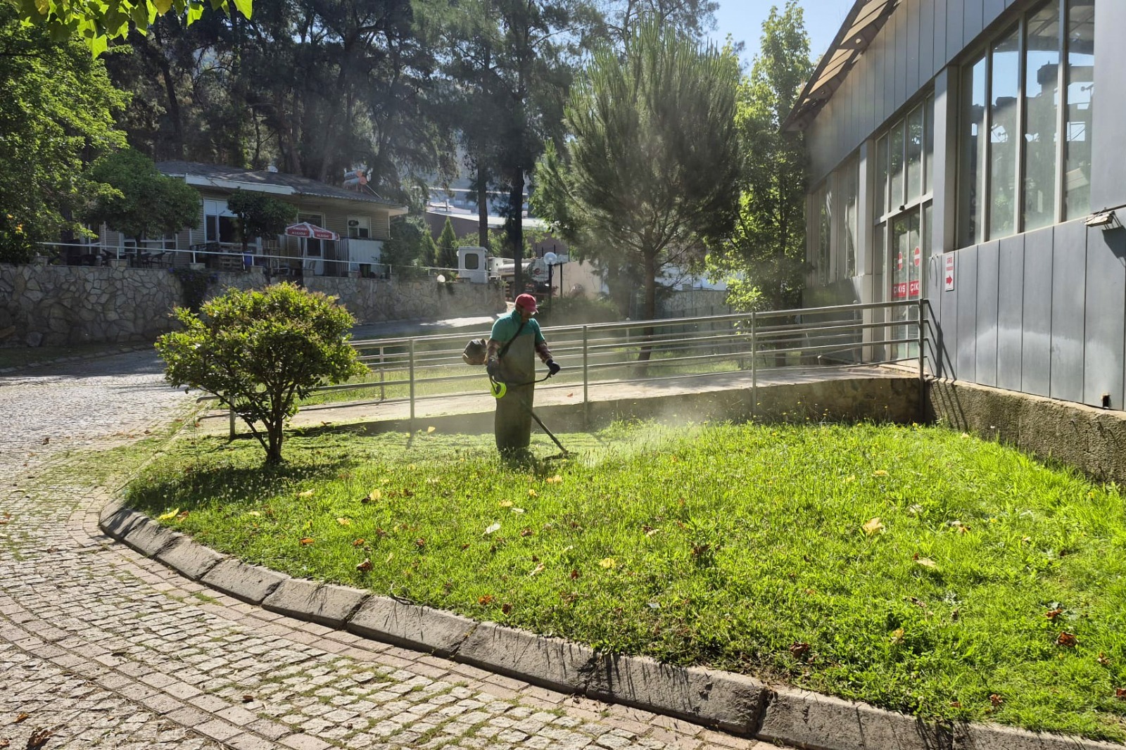 Efelerin Nefes Alani Temizleniyor Guzellesiyor 574976 E4D8Fe338Cf634C9Cdfa86Df68C0Ca10